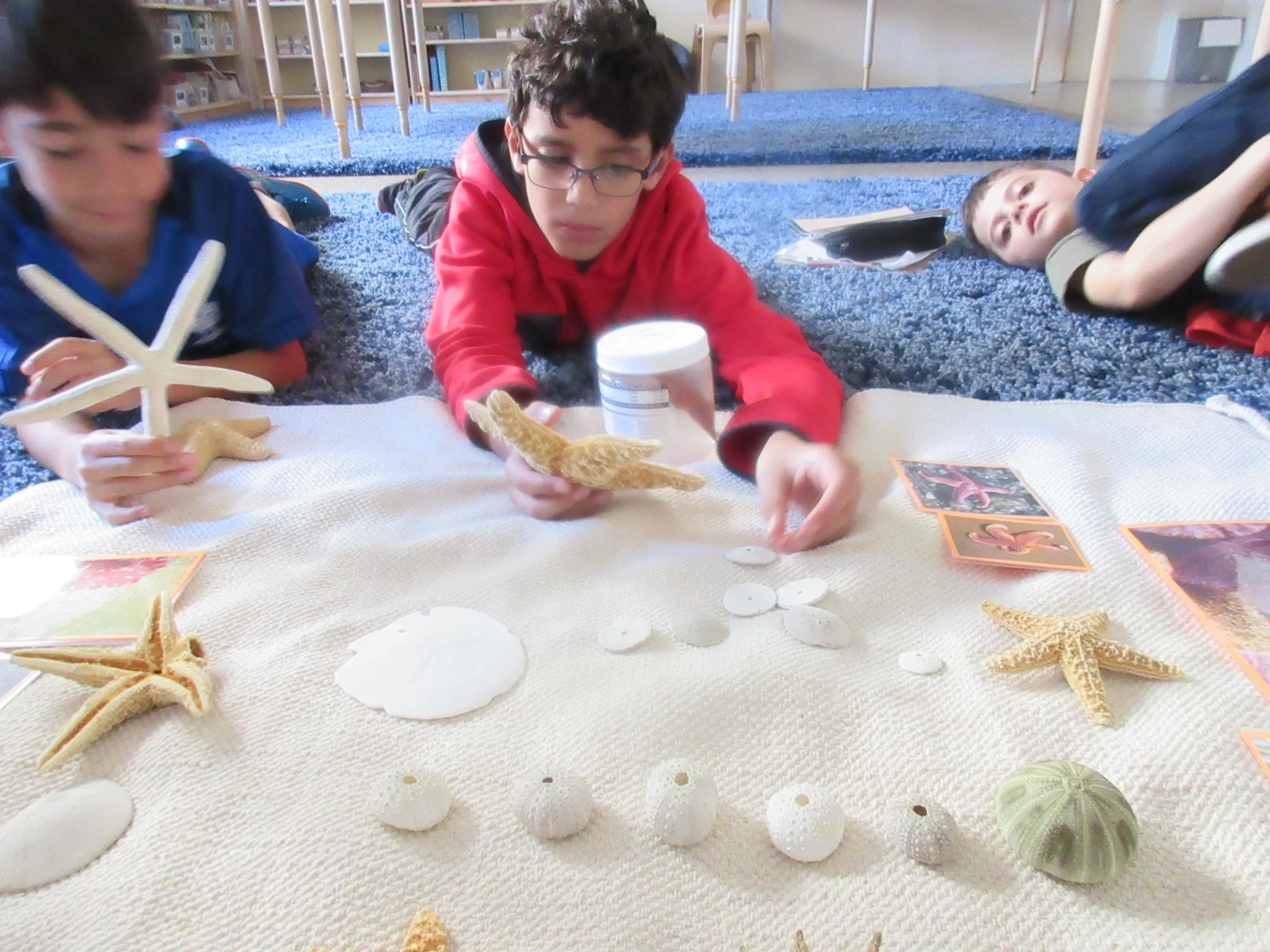 Fraction introduction