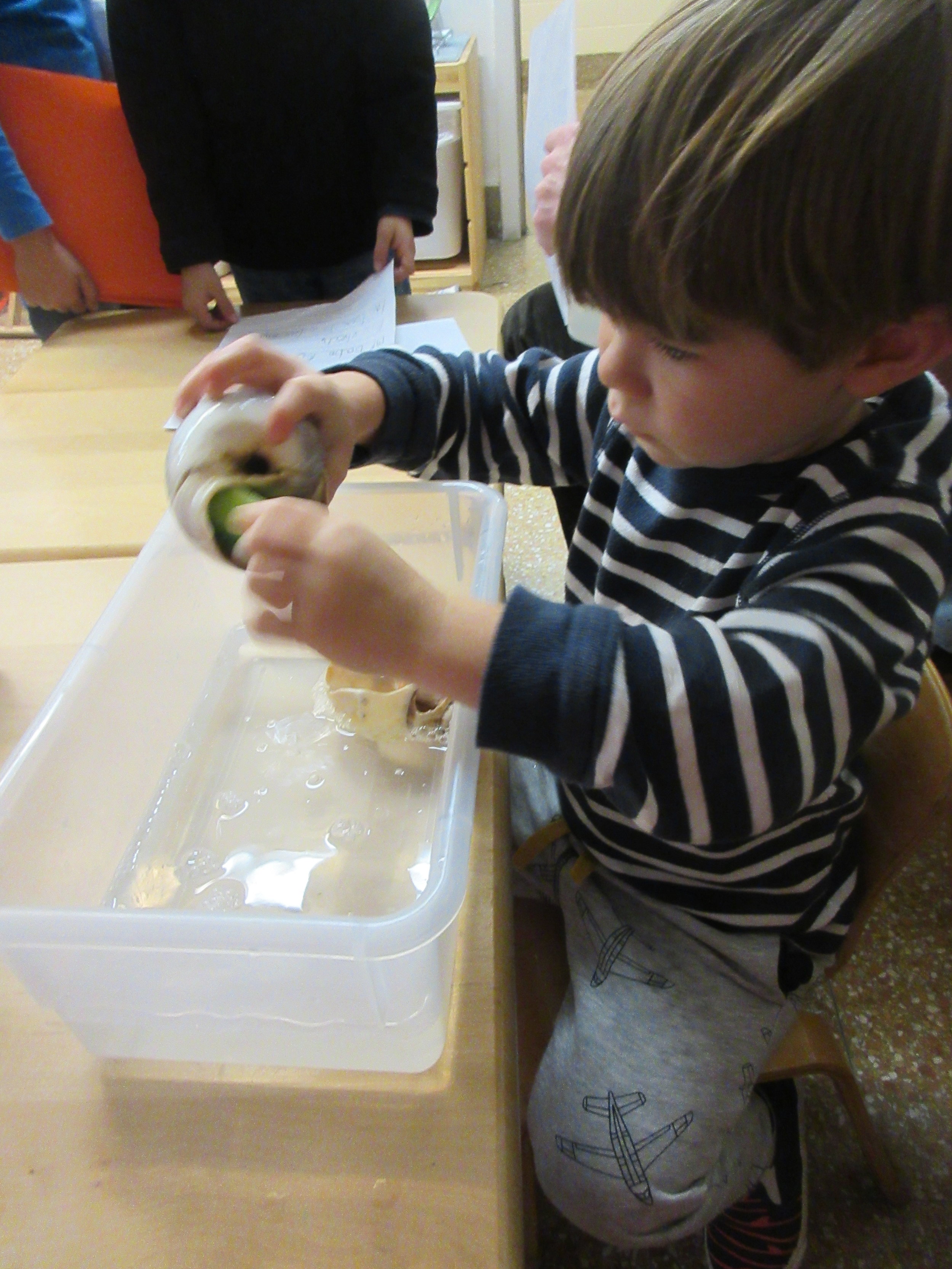 Scrubbing shells for our fish bowl. 