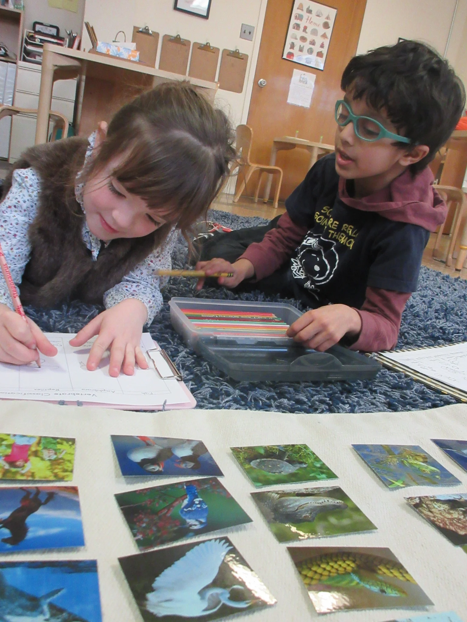 Vertebrate Lesson.JPG