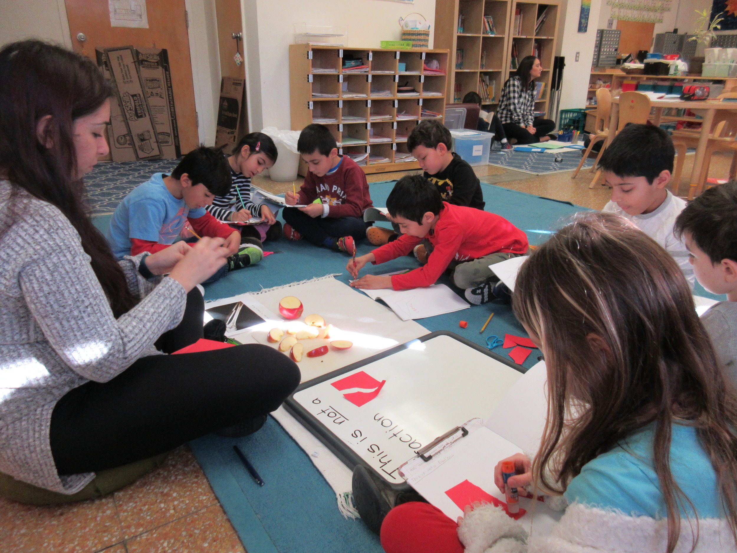 Fraction Lesson!