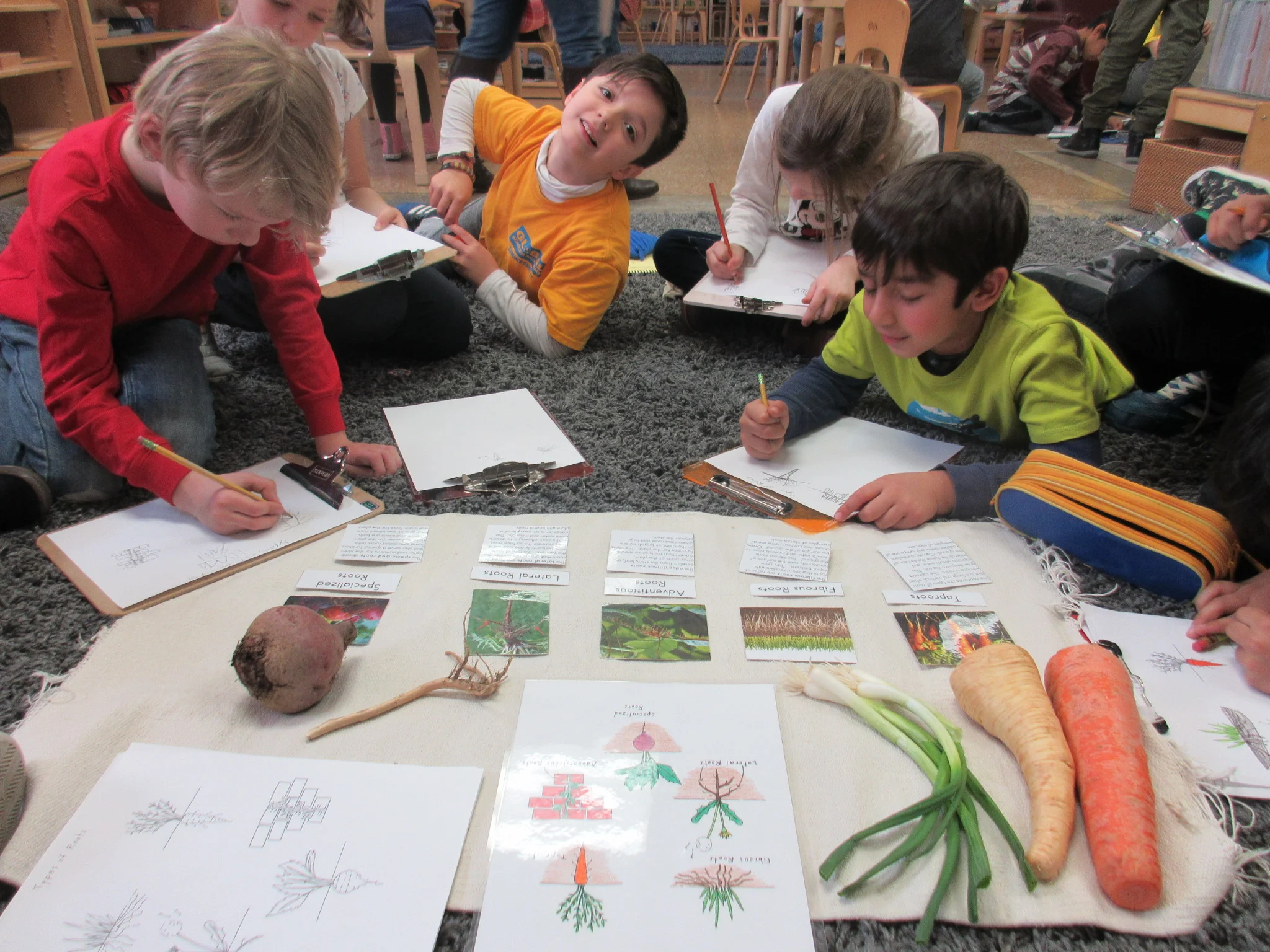 Types Of Roots Lesson.JPG