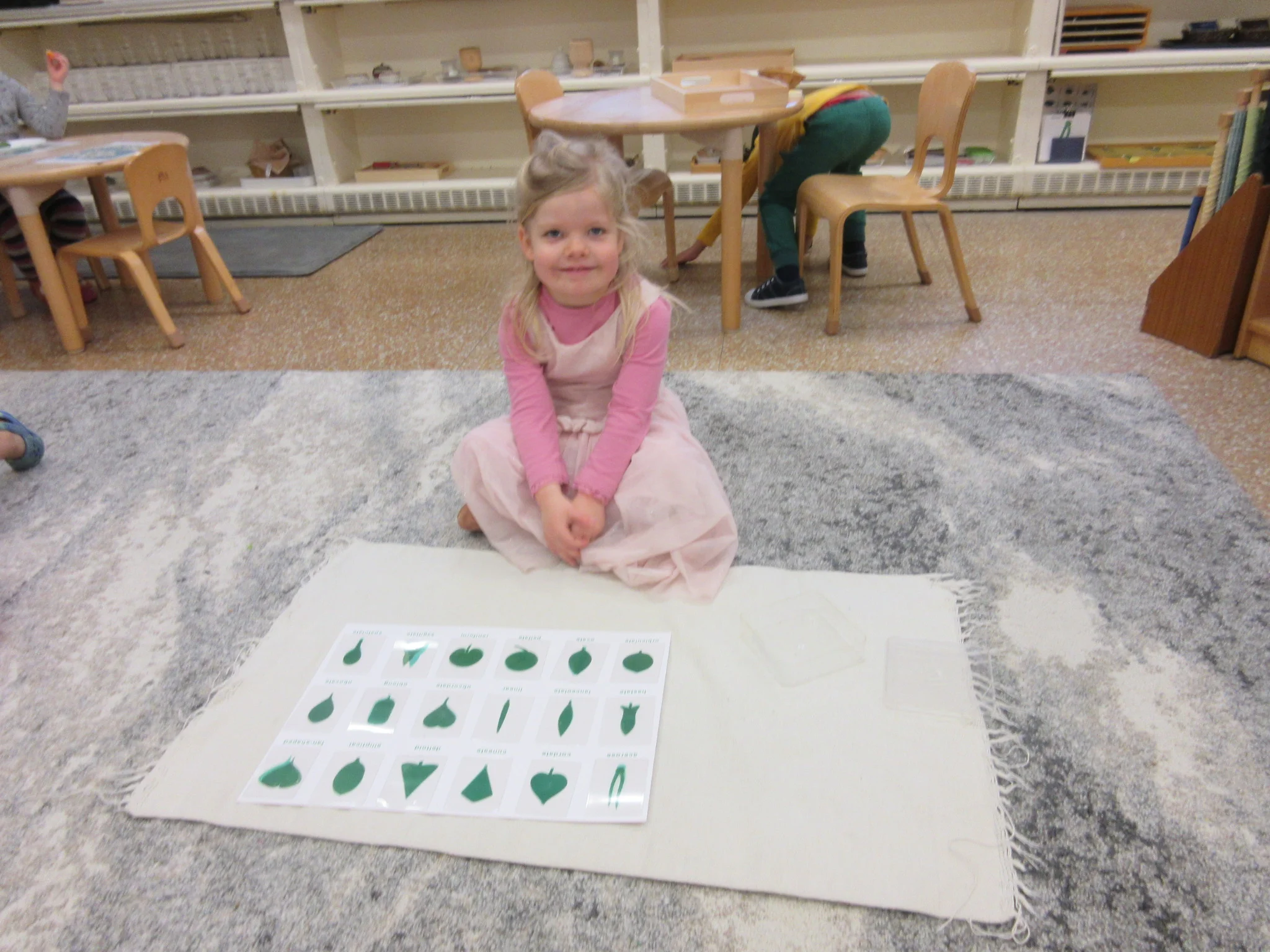 Exploring the botany cabinet.