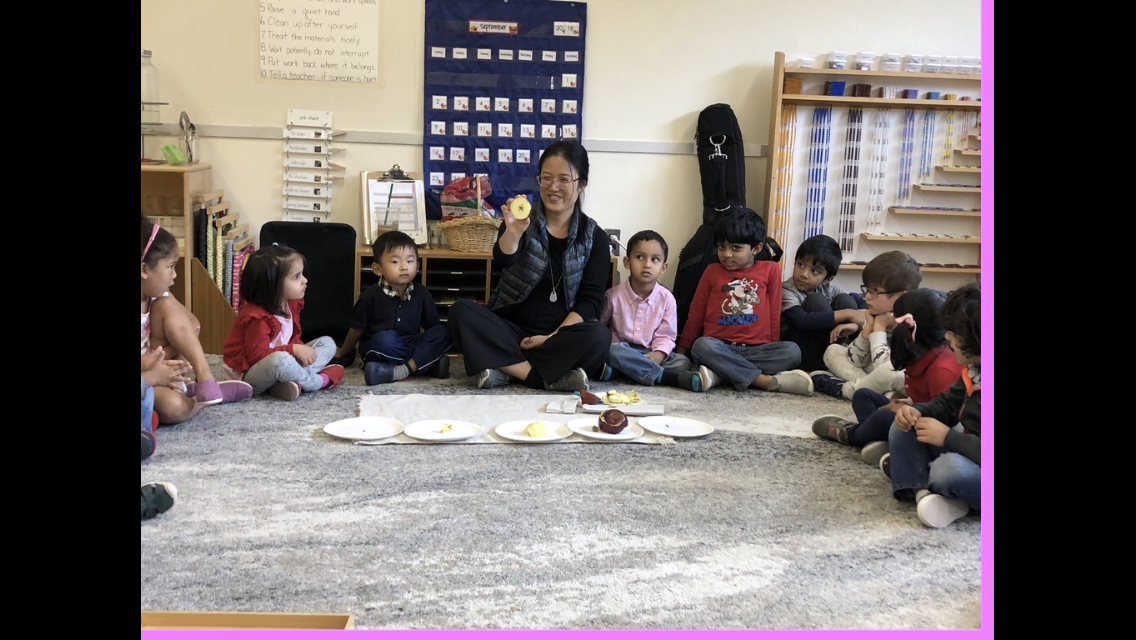 During circle, we learned about the parts of an Apple!