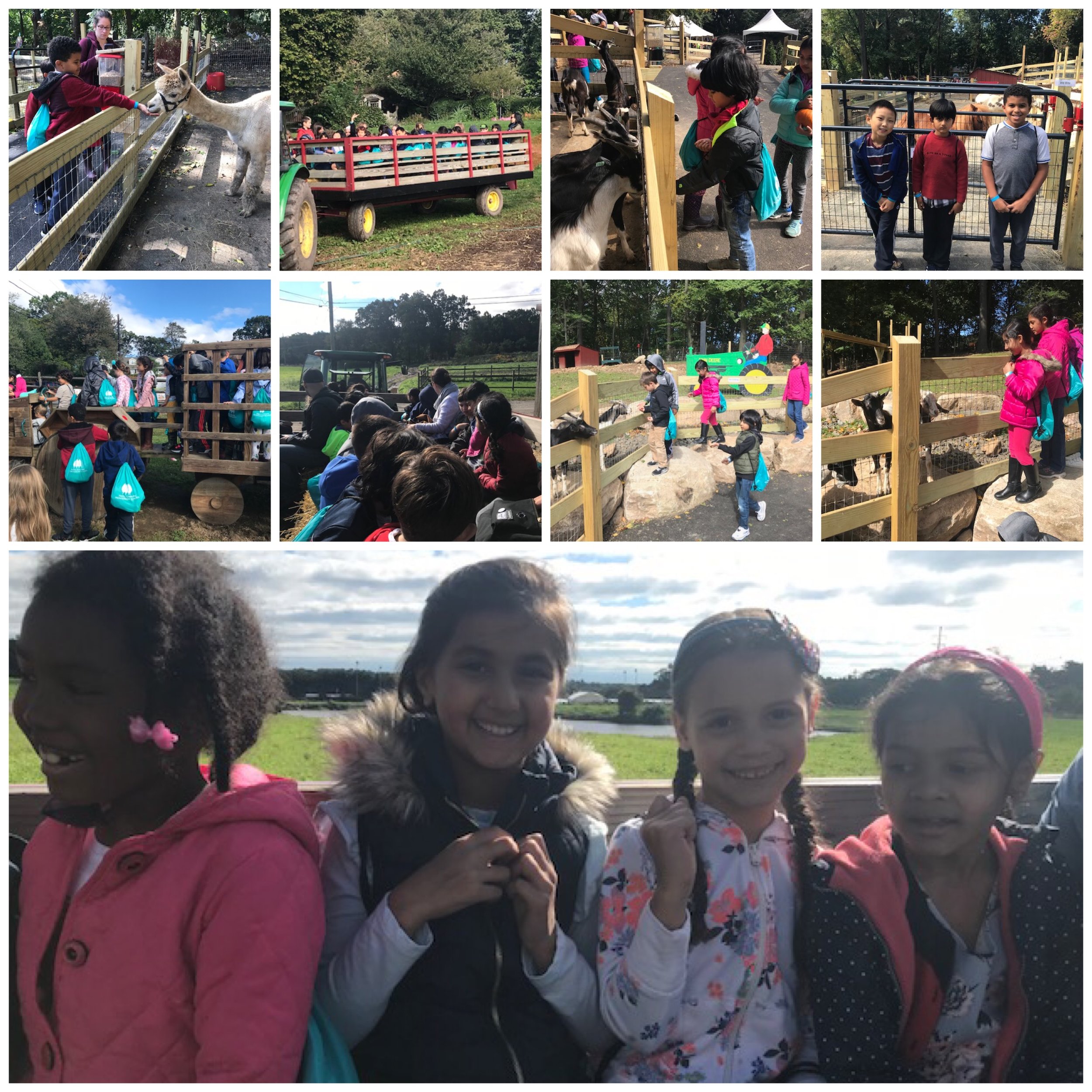 Our field trip to Abma’s Farm!