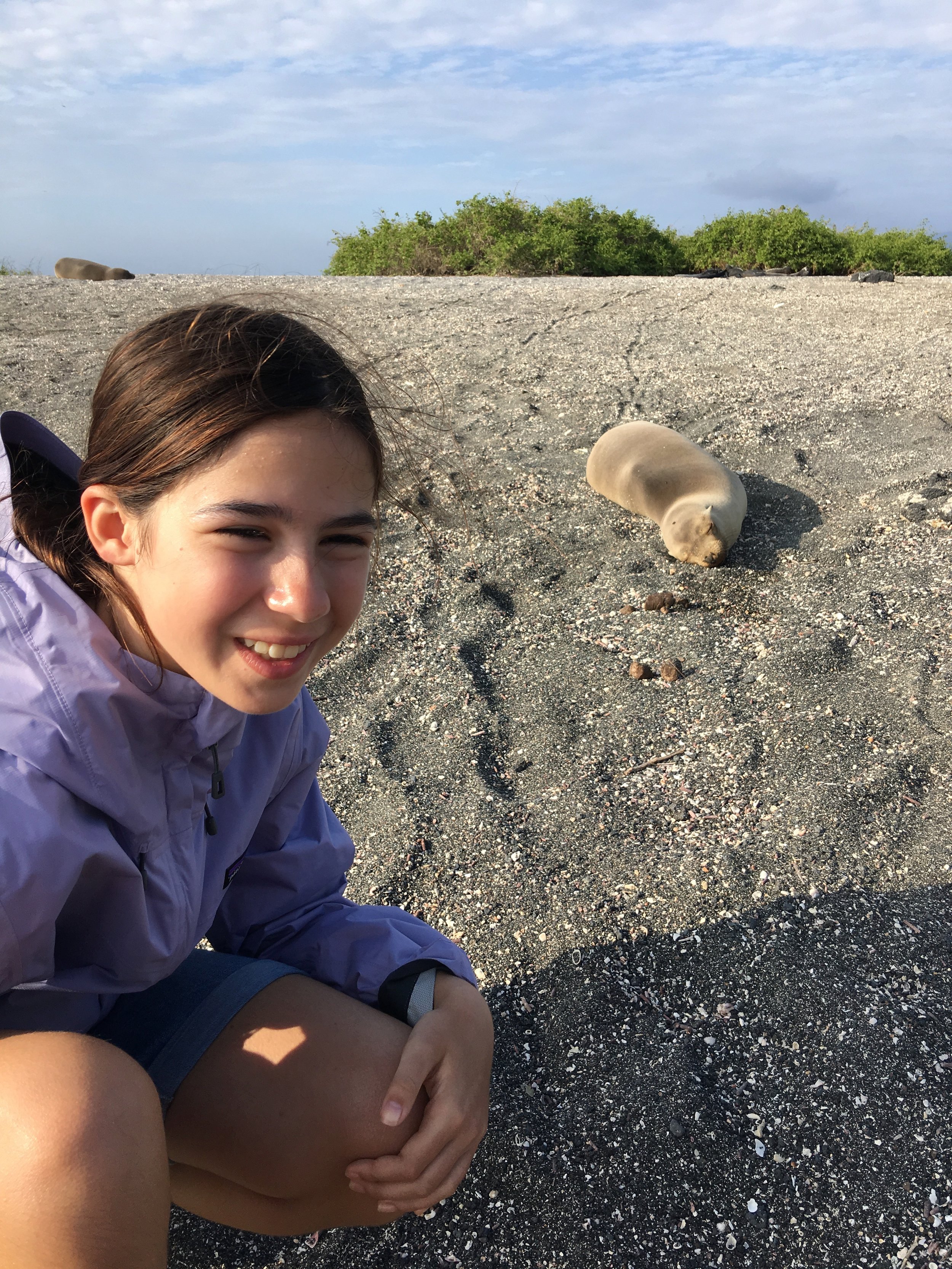 Galapagos 2018 baby sea lion 2.jpg