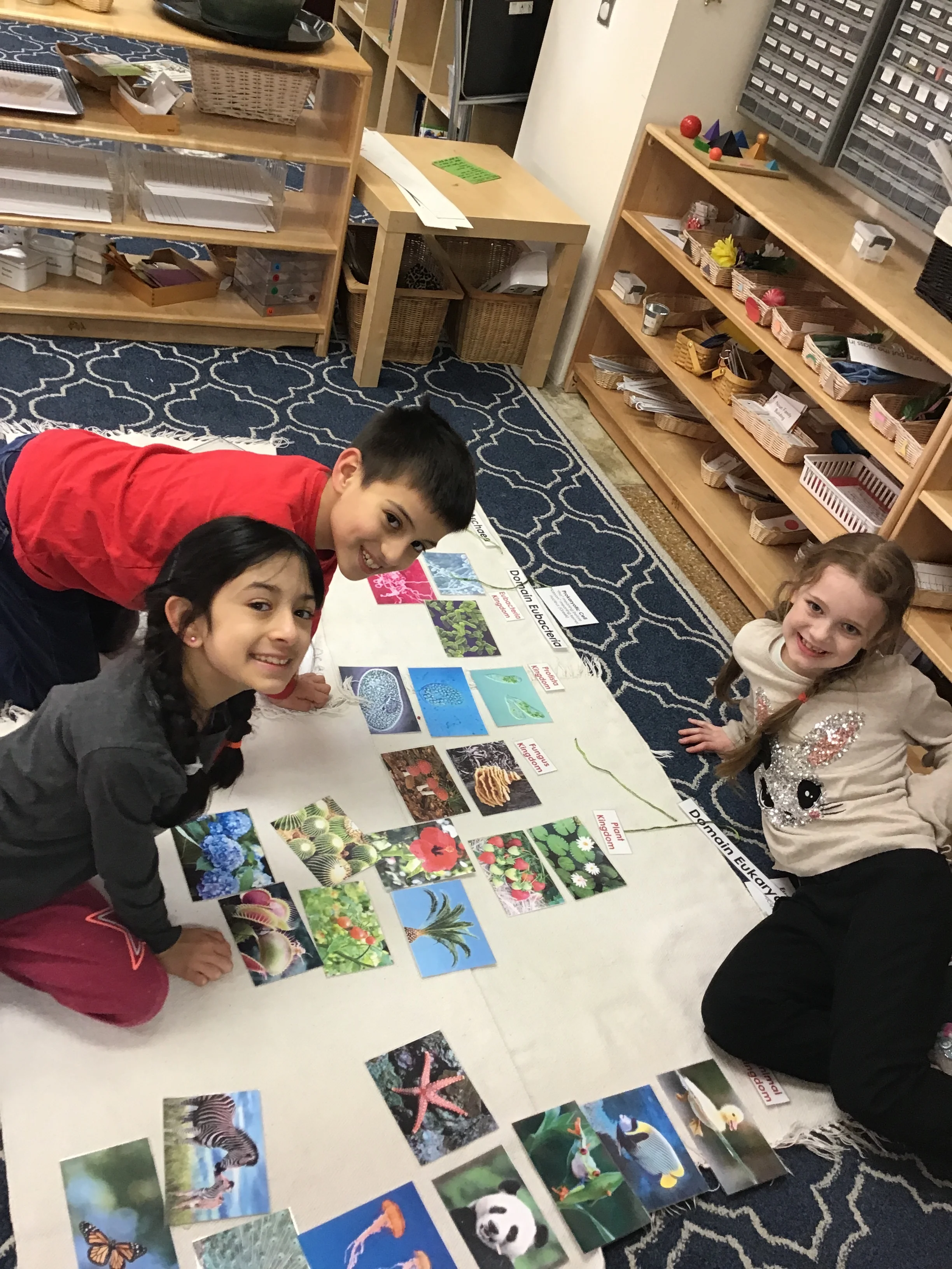 Domains and Kingdoms follow up!