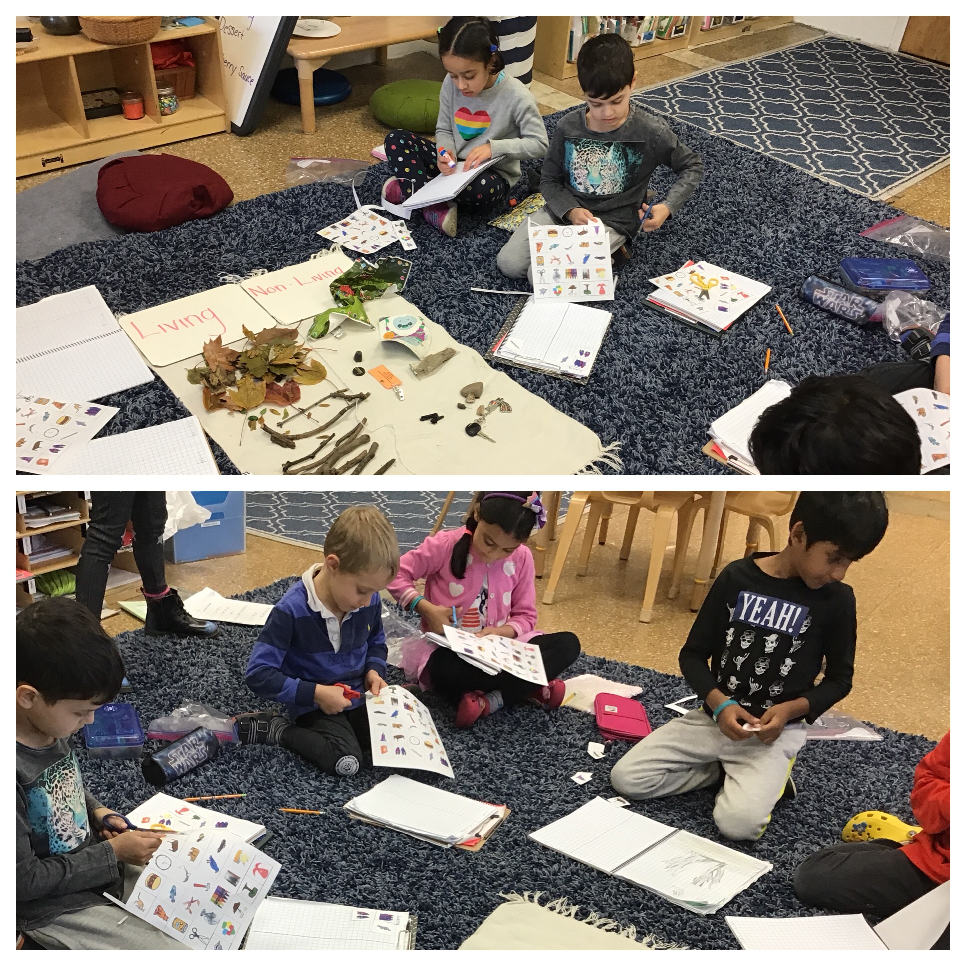 Living and Non-Living follow up!