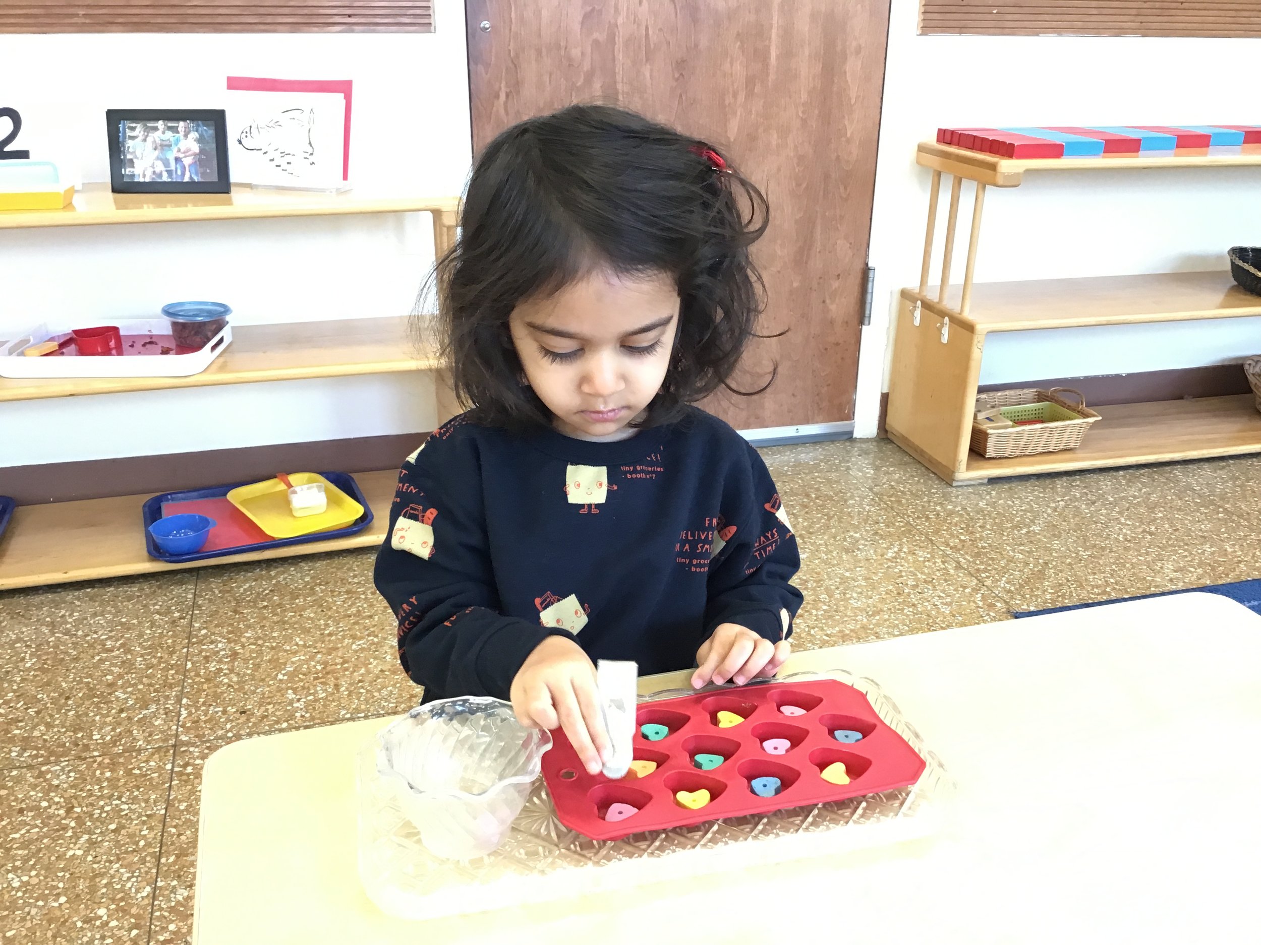 Transferring hearts using tongs. 