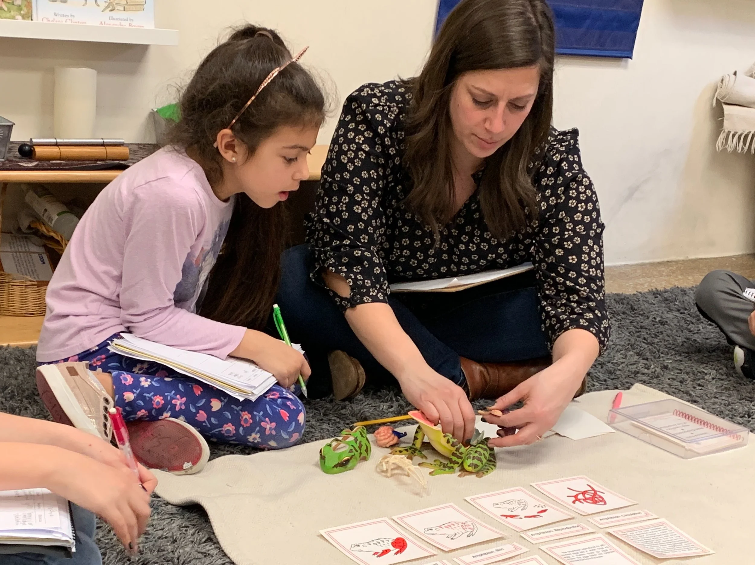 Learning the internal parts and functions of a frog