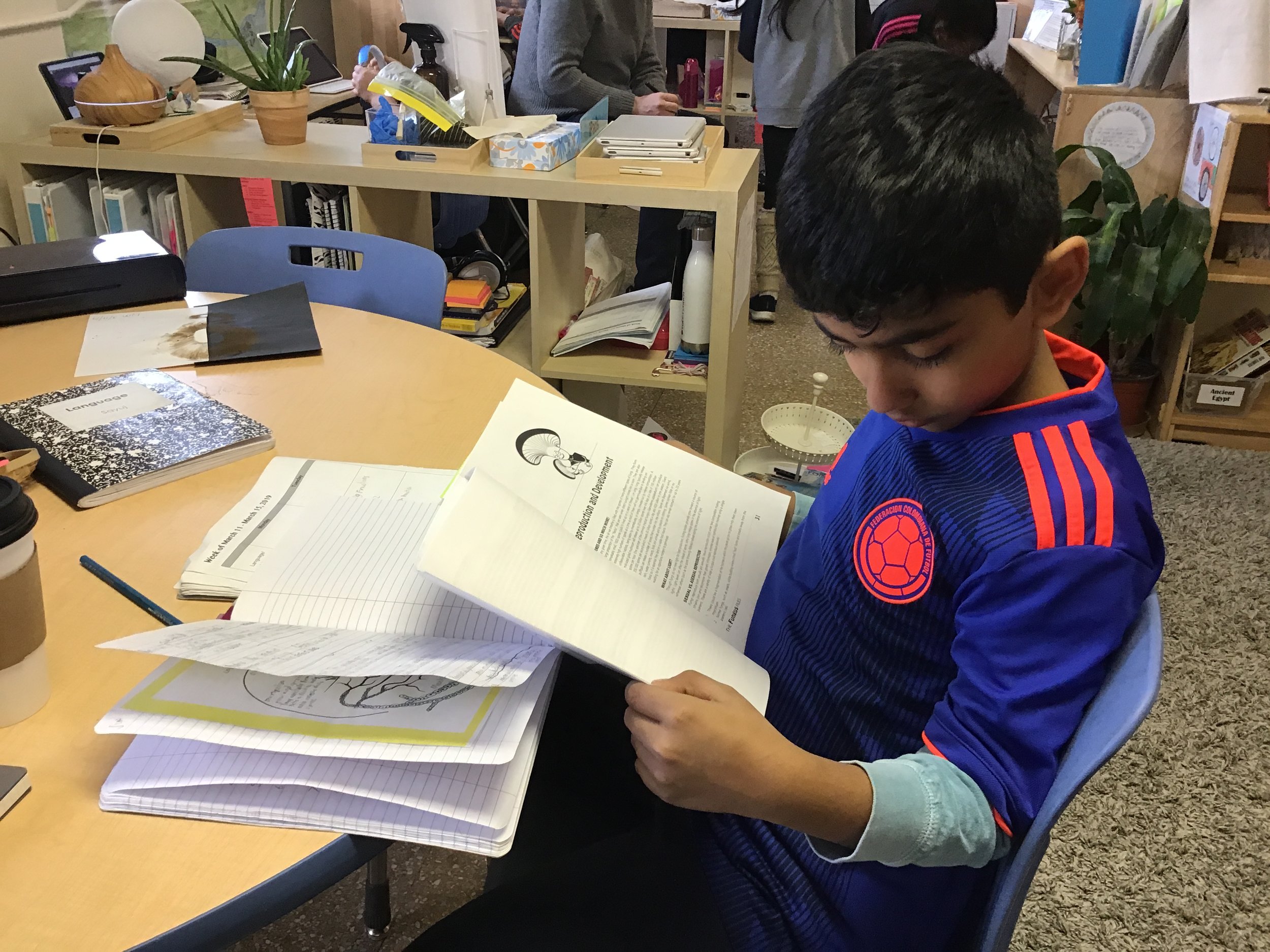 Exploring the information in The Fungus Files.