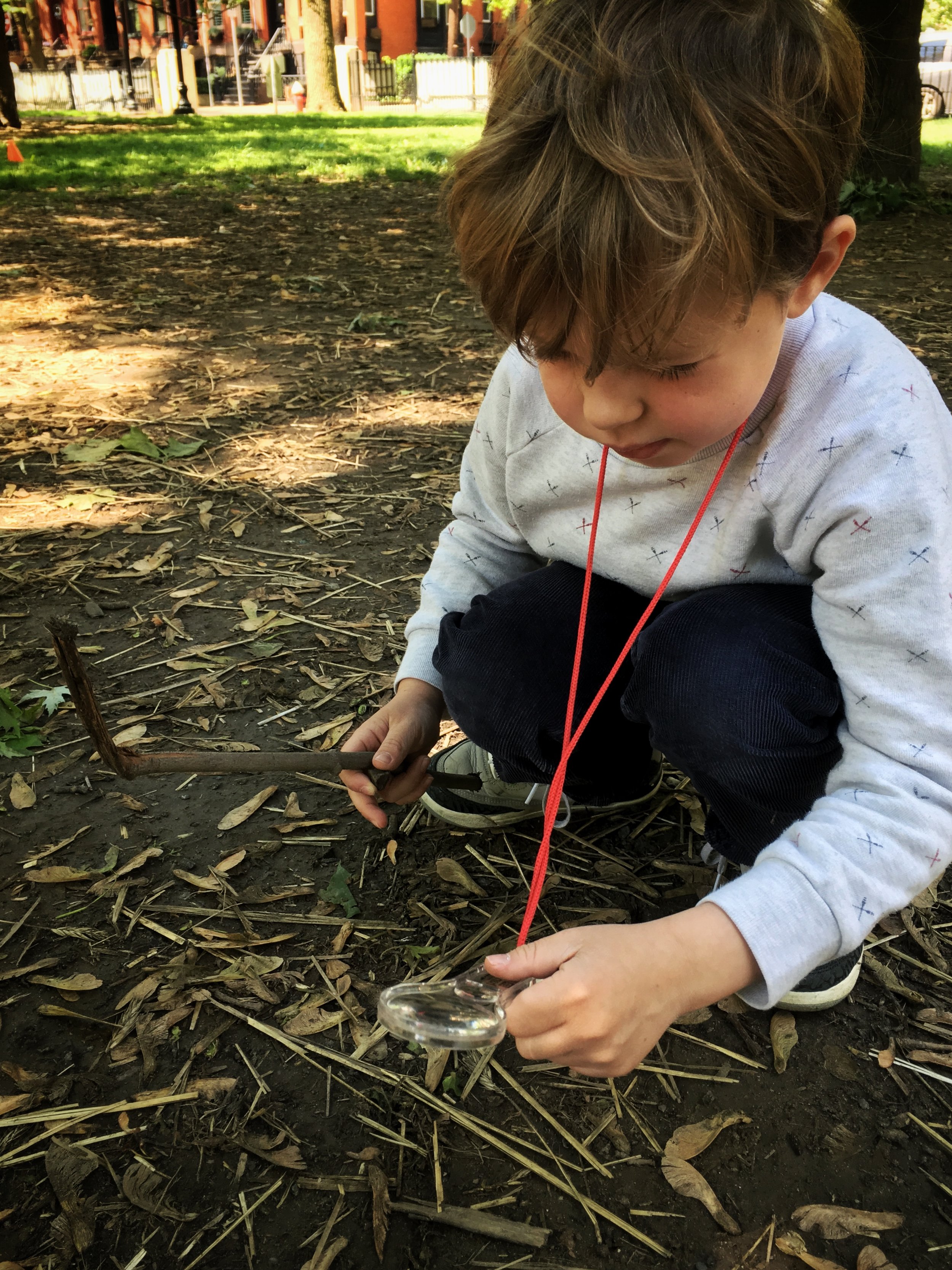 All science begins with observation!