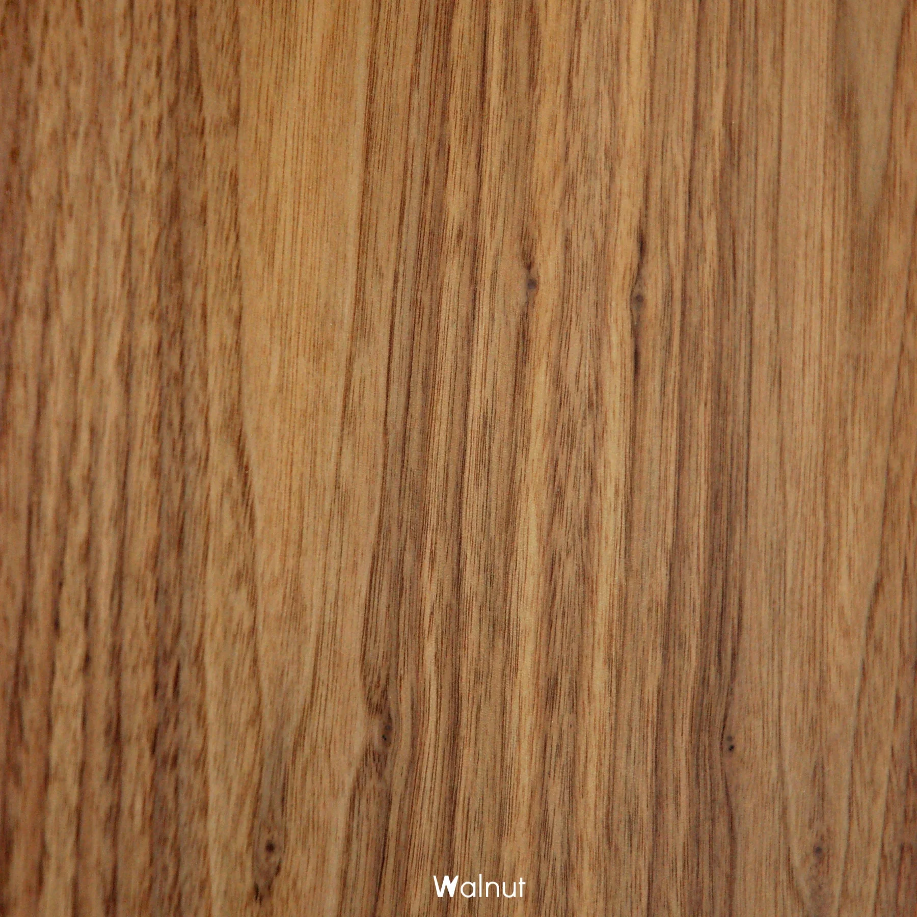 Walnut.jpg