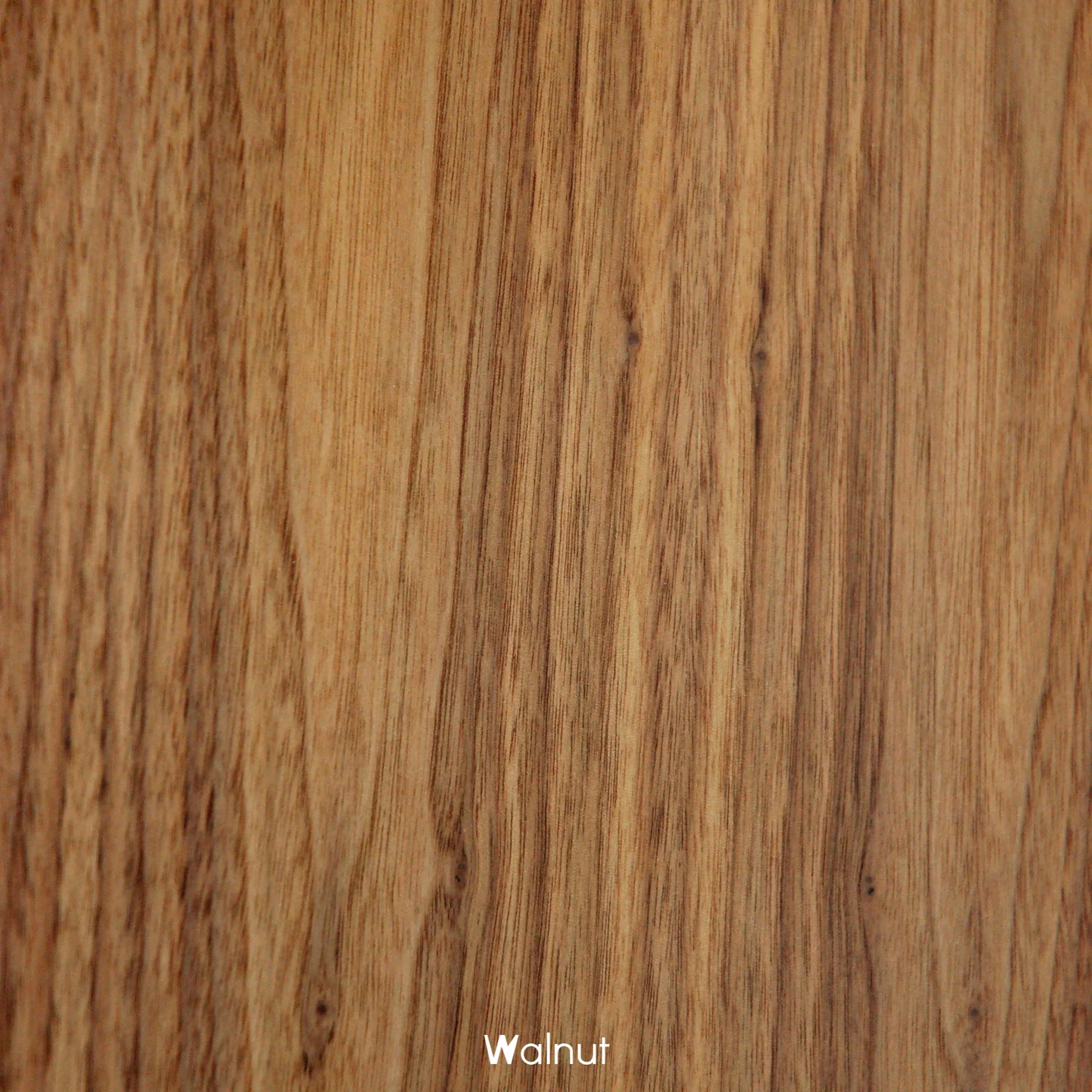 Walnut.jpg
