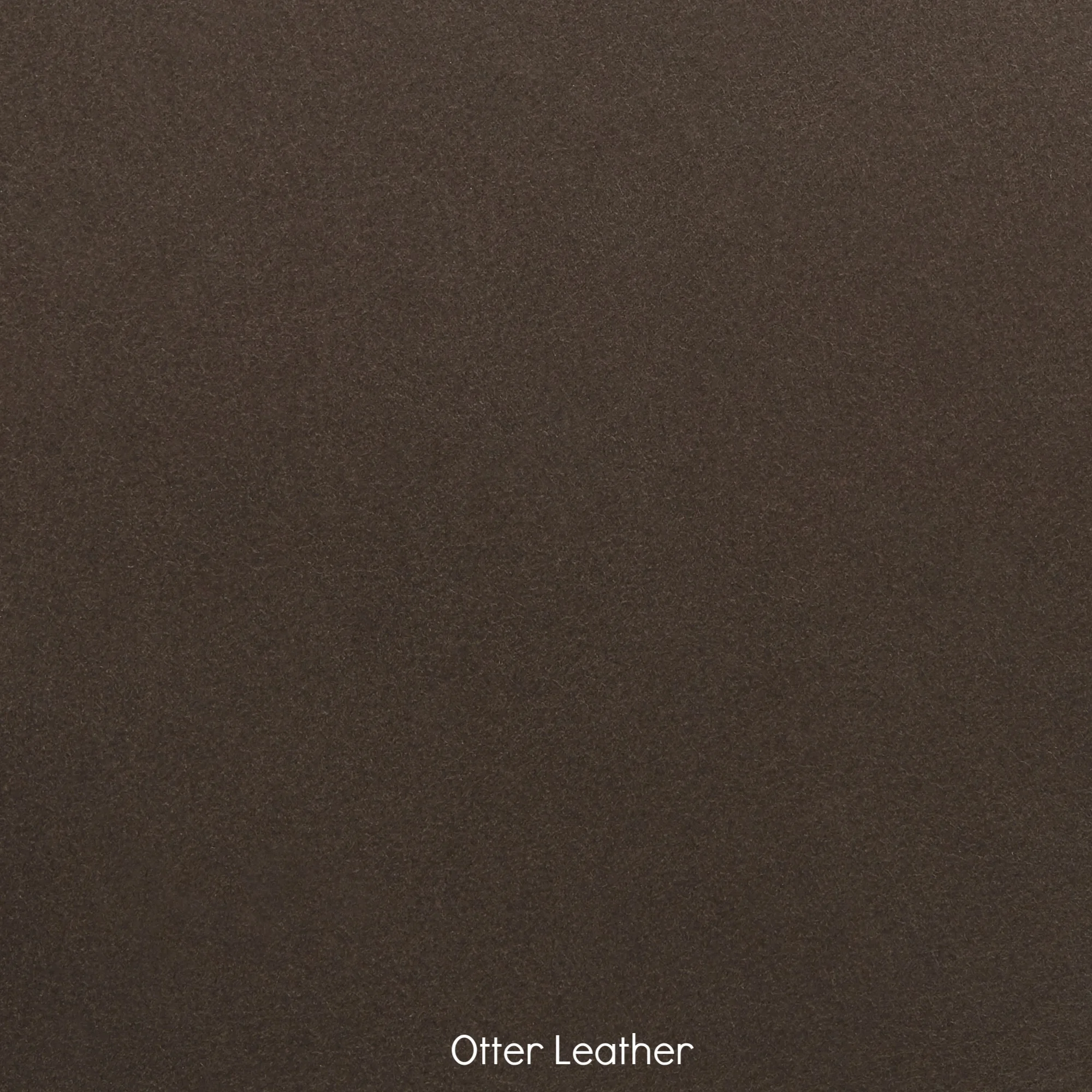 Leather - Otter.jpg