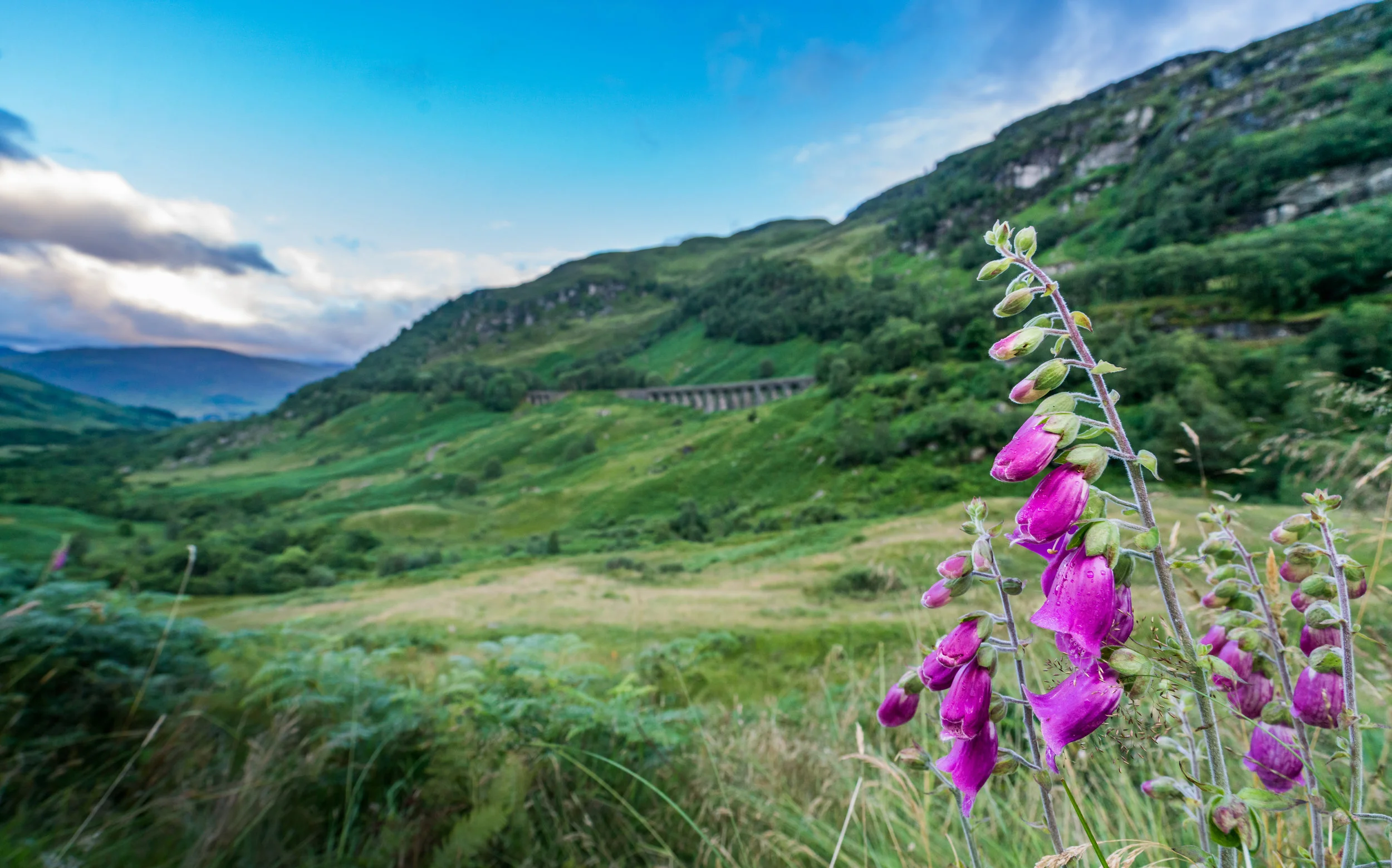 The beautiful old-fashioned stone rail viaduct near Glenogle , Scotland in the Loch Lomond & The Trossachs National Park.