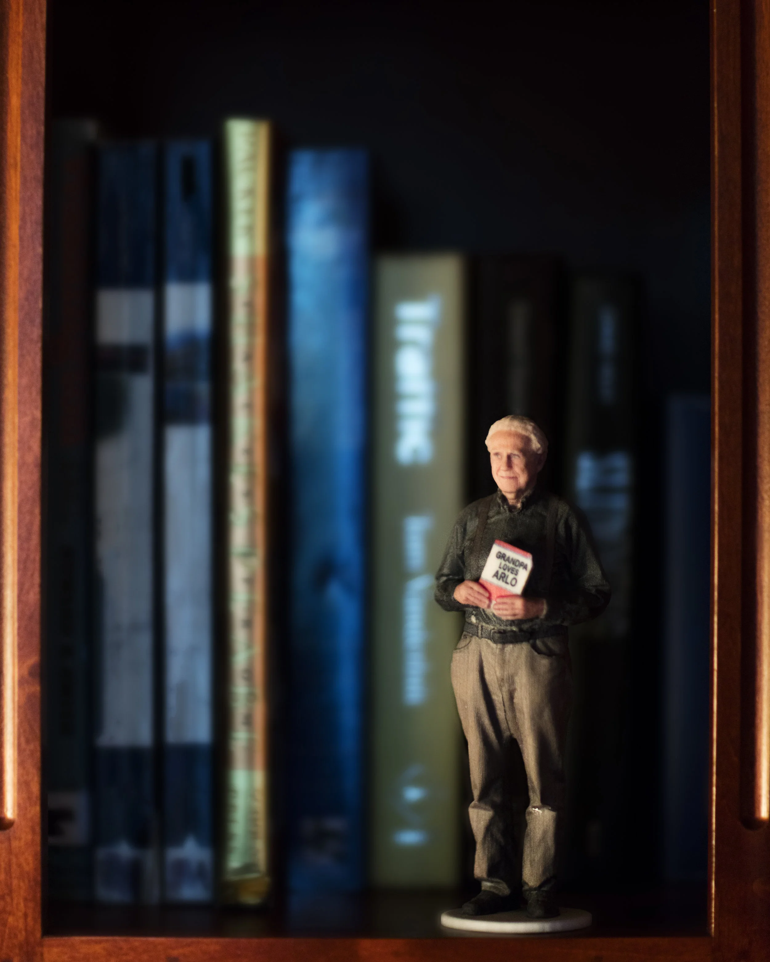 Grandpa on the bookshelf