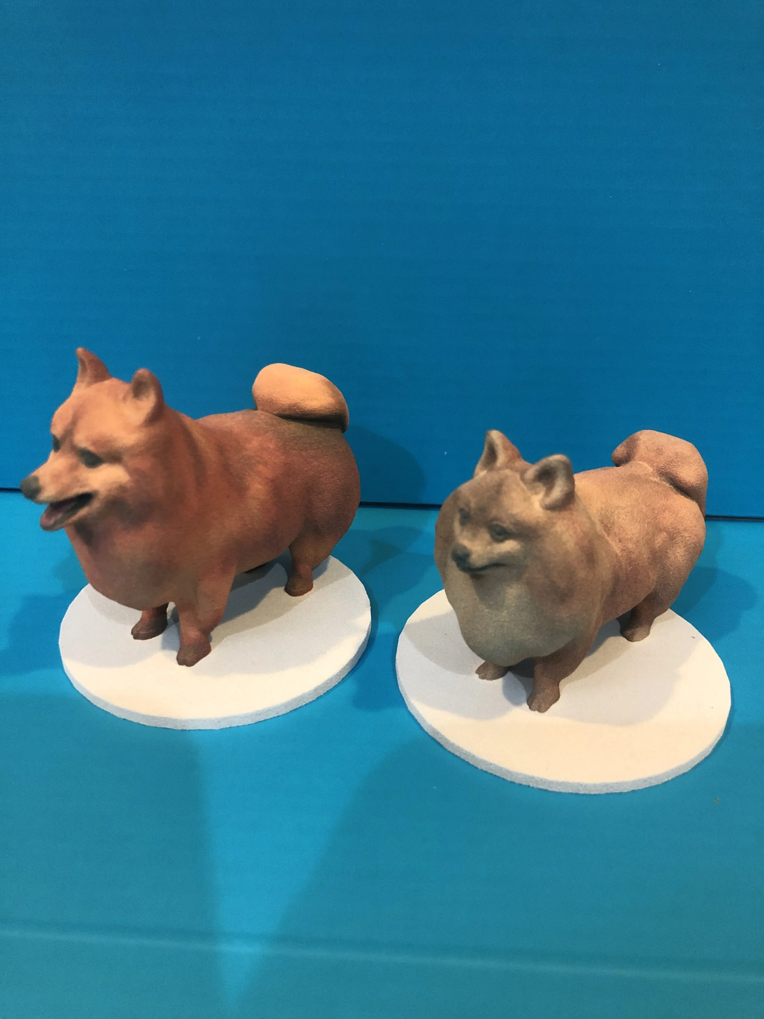 Chelsea and Daisy 3D Printed.JPG