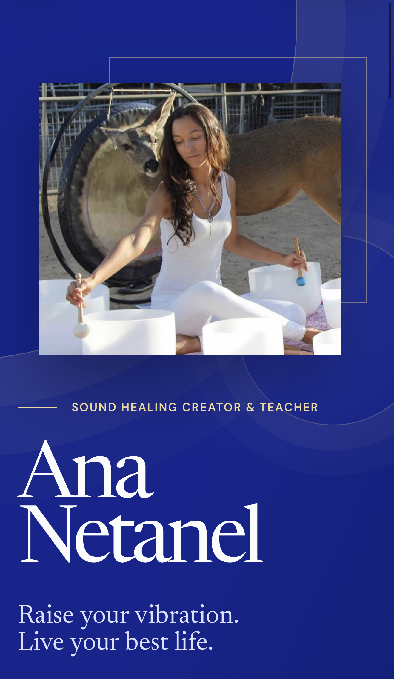 Ana Netanel Media Kit
