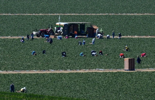 How to Enrich Immigrants and the States