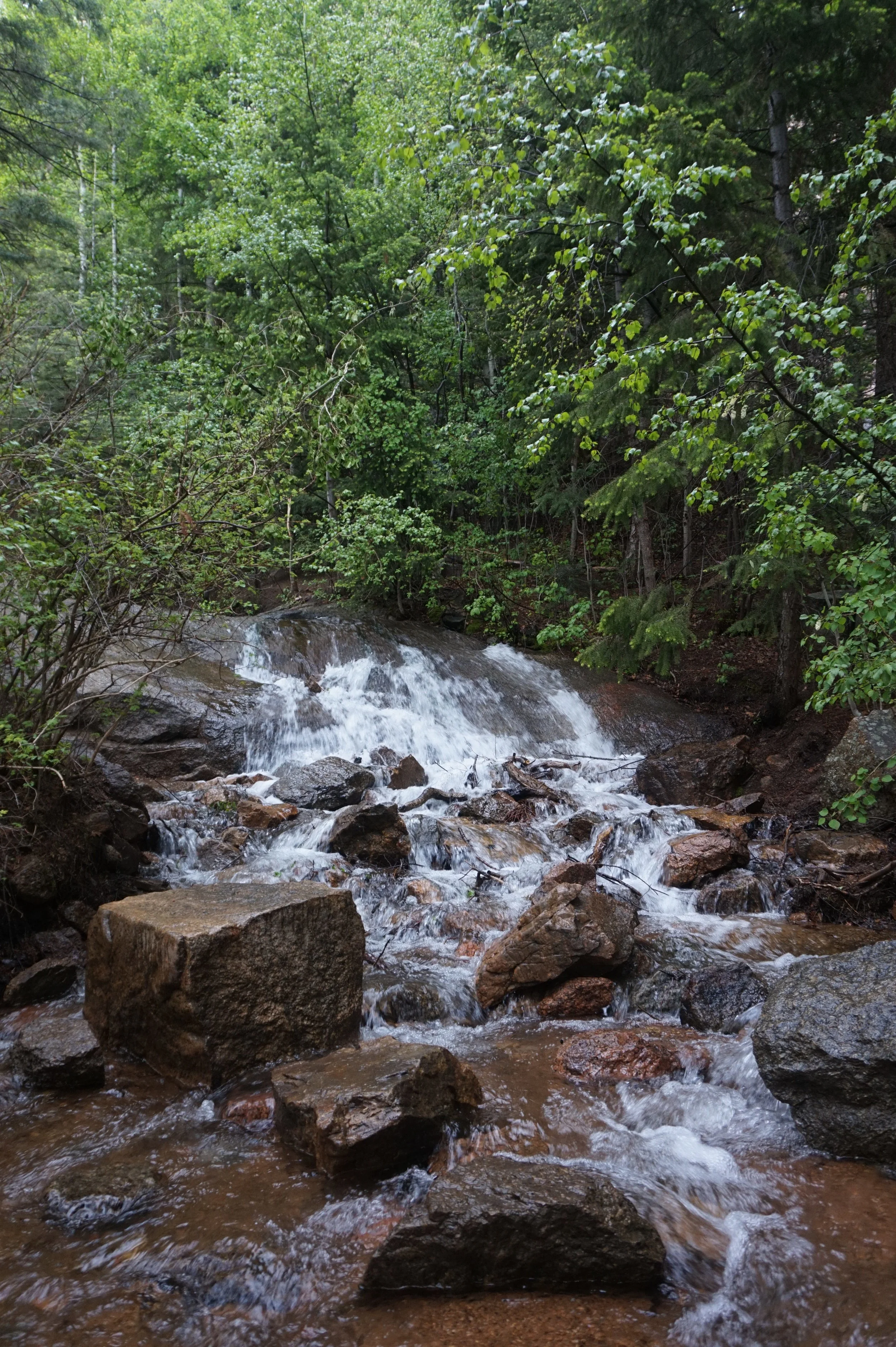 HellenHuntFallsInTheGreenery.JPG