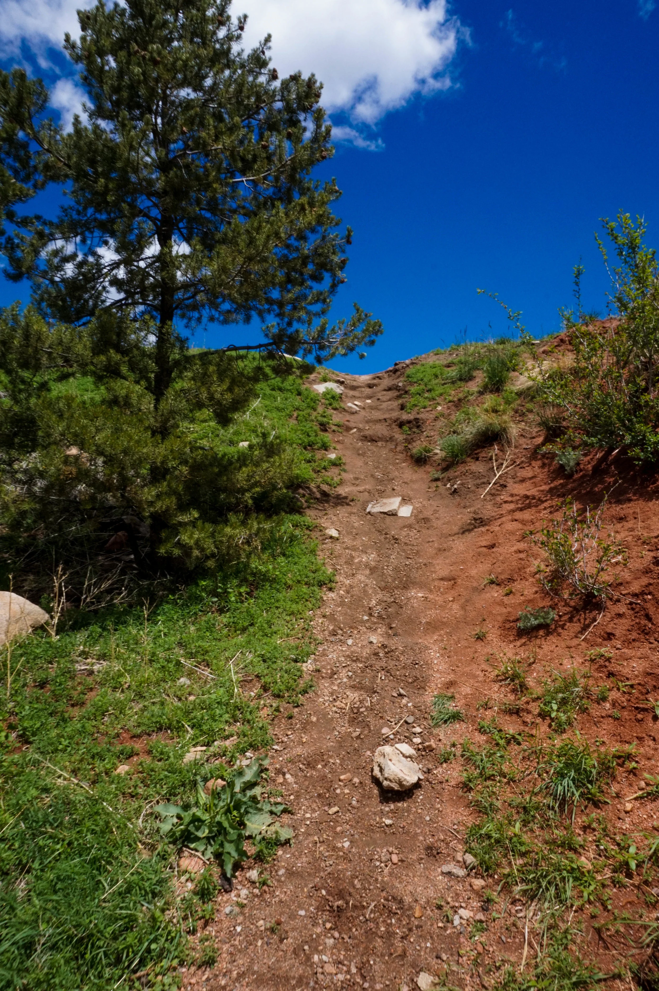 REdROckspenUpHillPath-.jpg