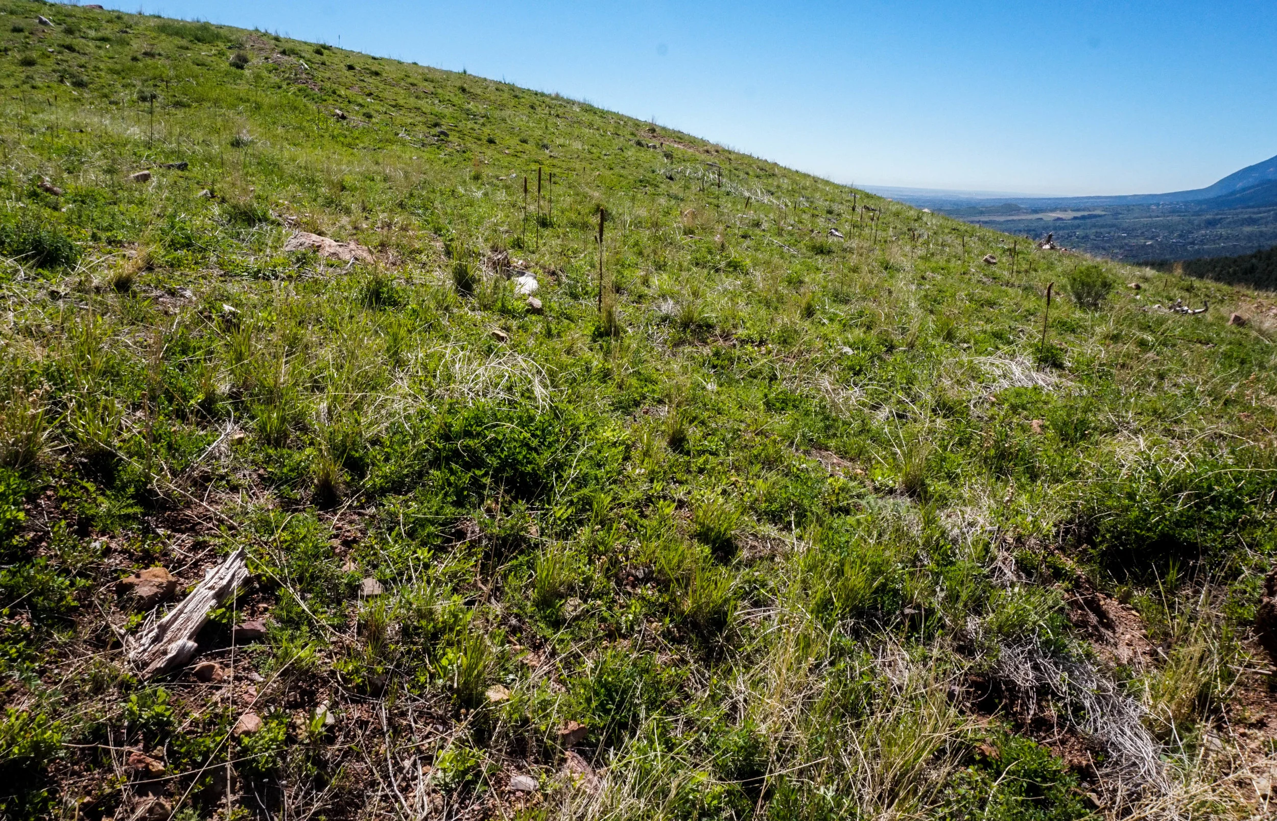 BehindBensHOusewithGreenFeildAndBlueSky.jpg