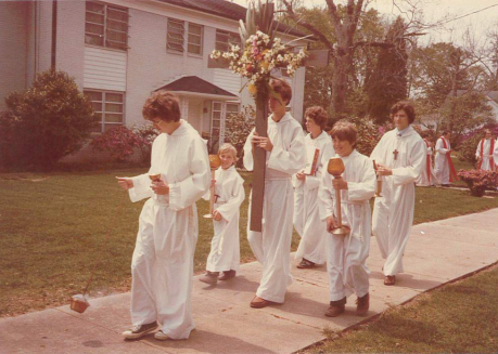 3 - Mass Palms 2.PNG