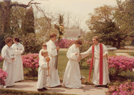 3 - Mass Palms 4.PNG