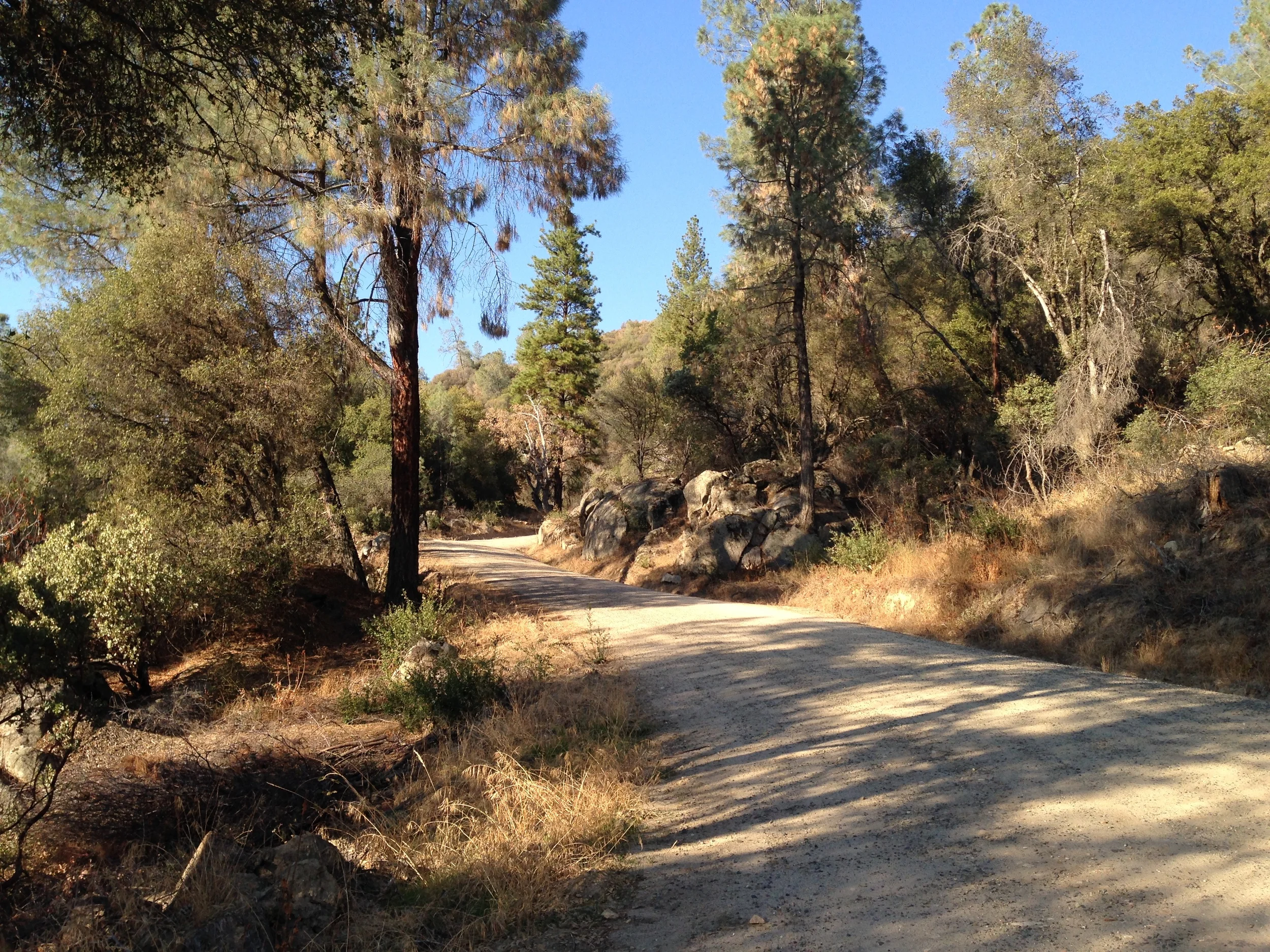 Back To The Future Day