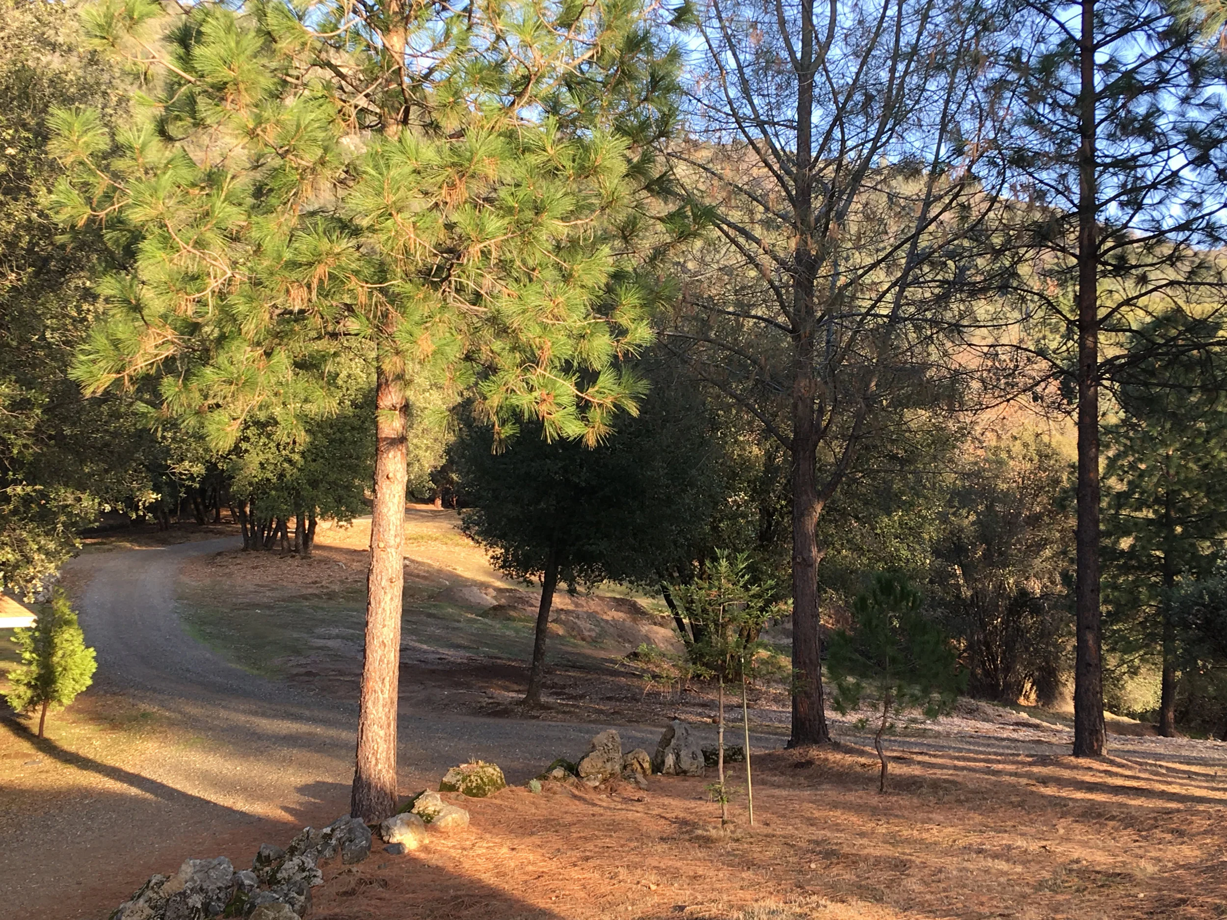 Driveway3.jpg