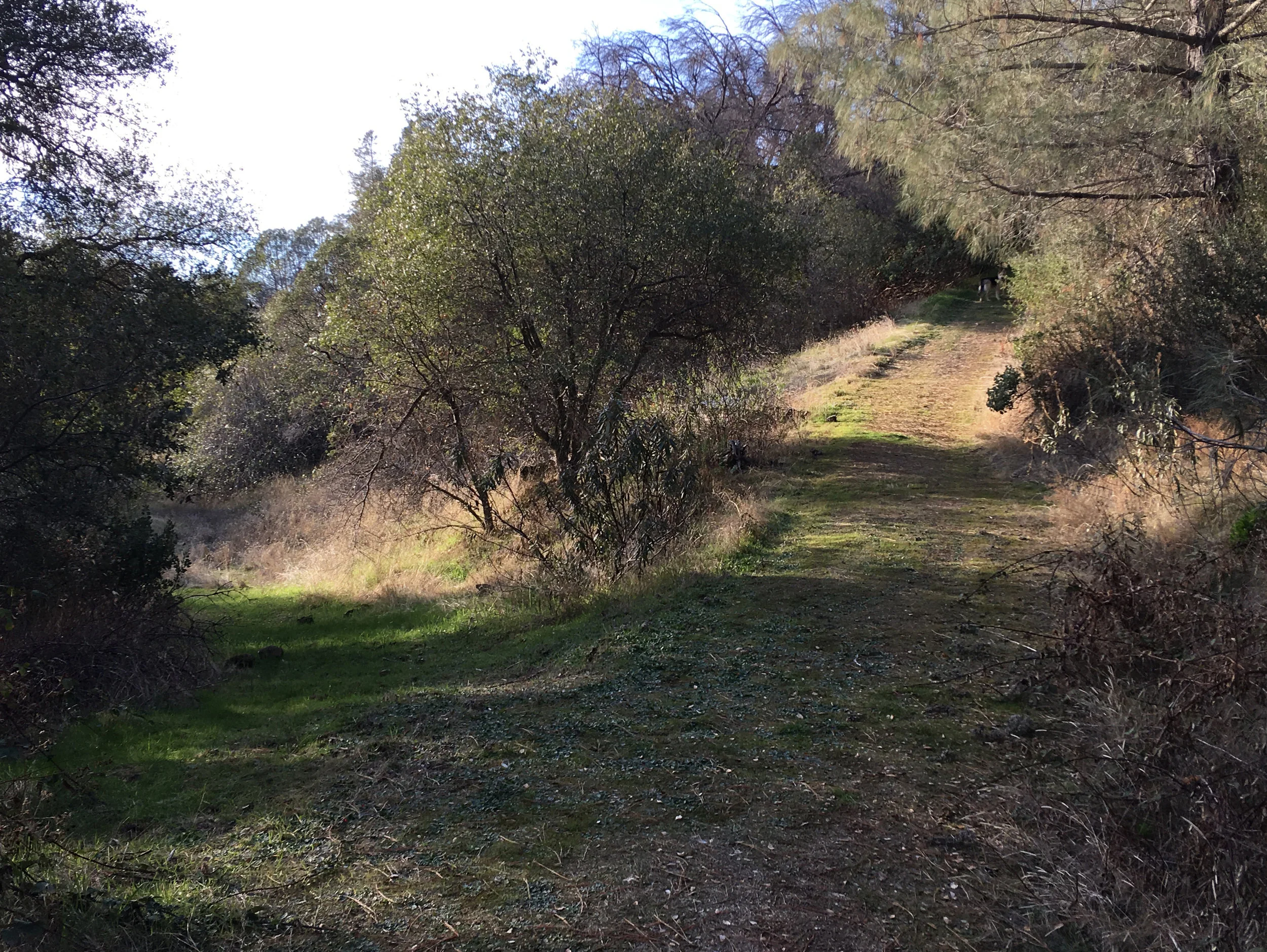Trail Split.jpg