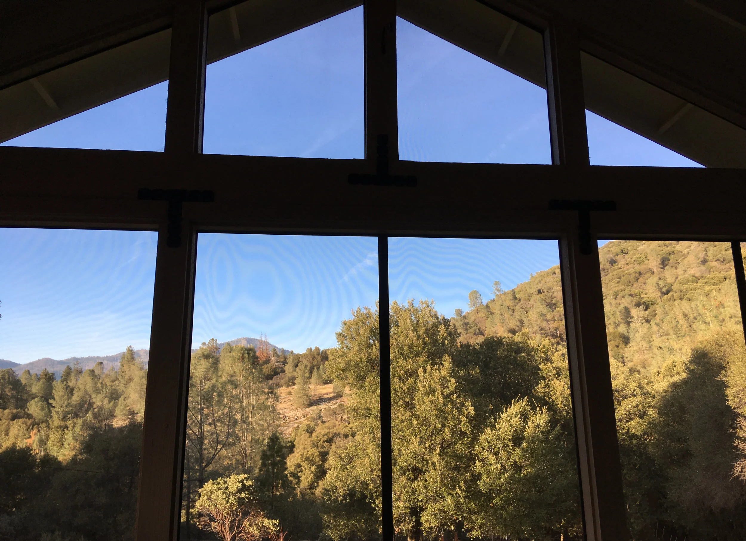 View from back porch.jpg