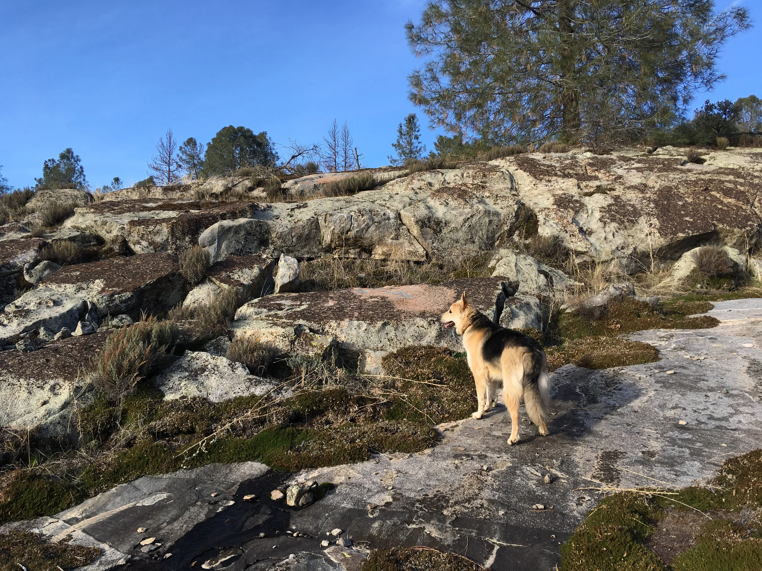 Ursula on Granite2.jpg