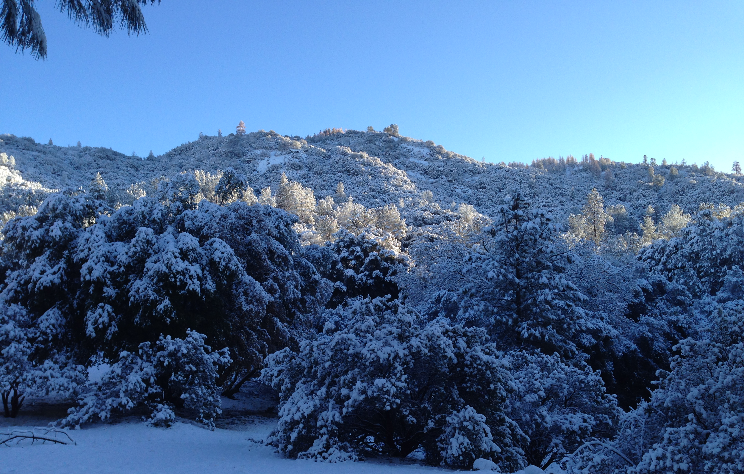 Snow!.png