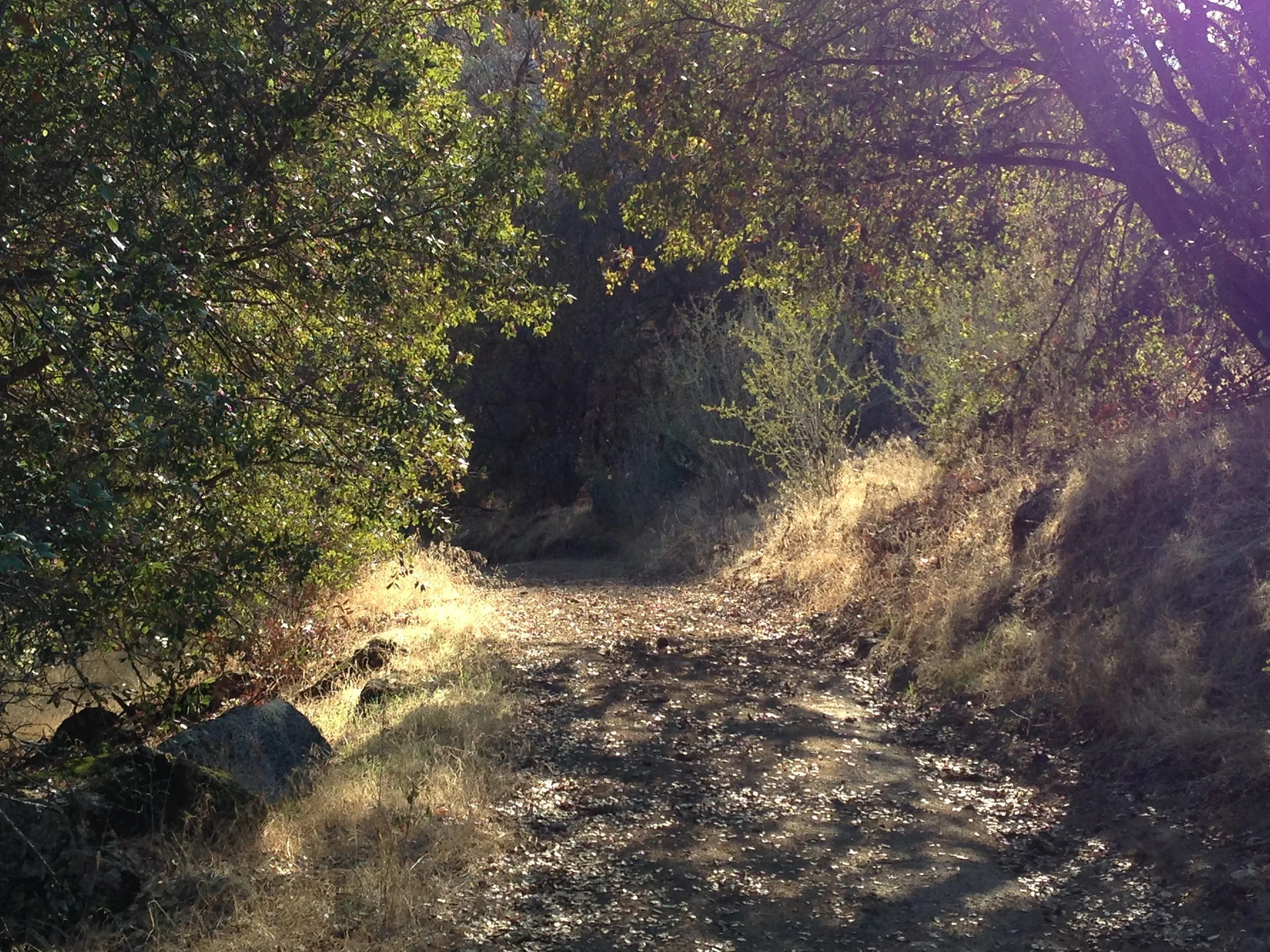 2015-10-21 16.40.23.jpg