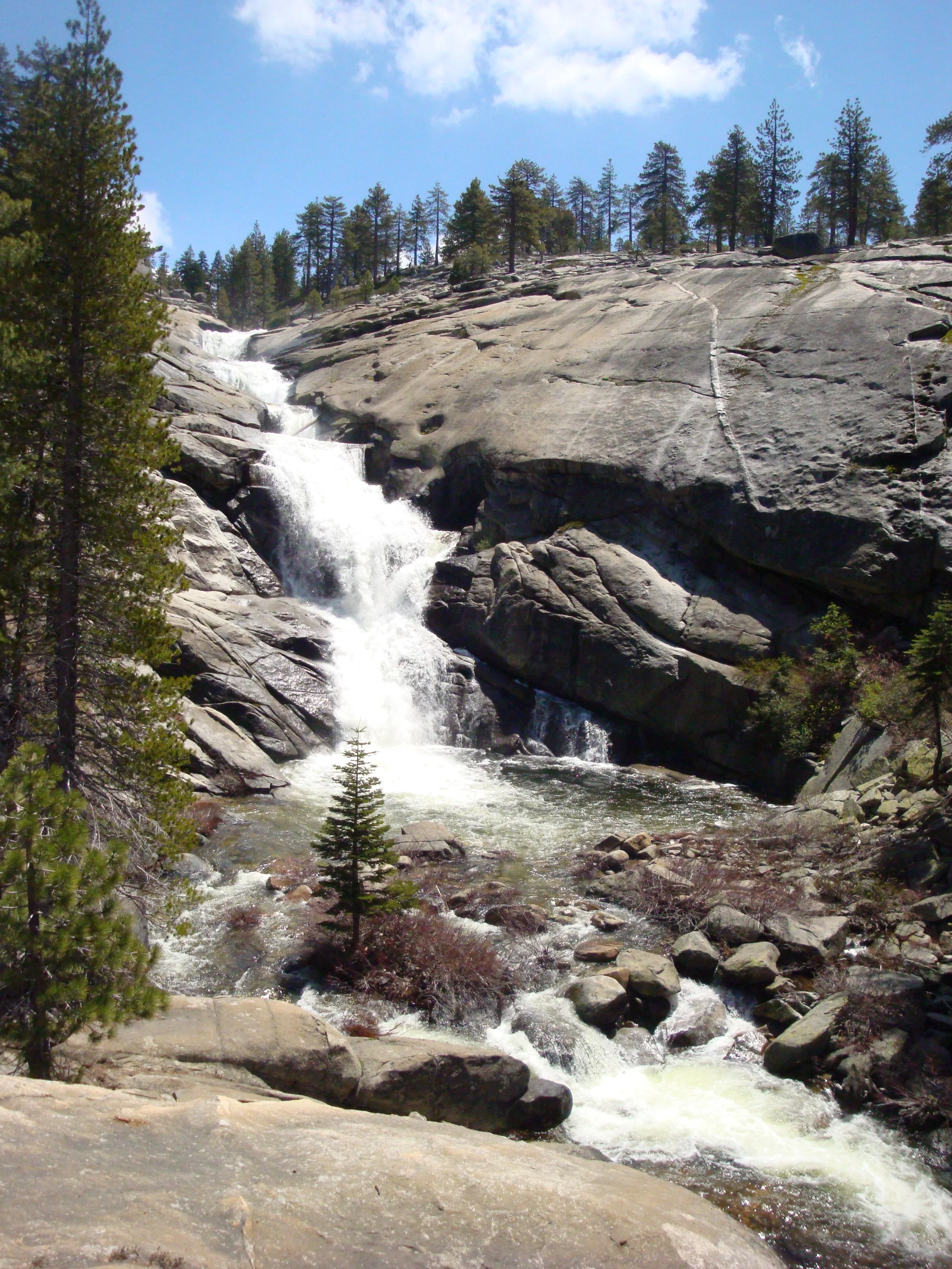 2008-05-31_11-43-00.jpg