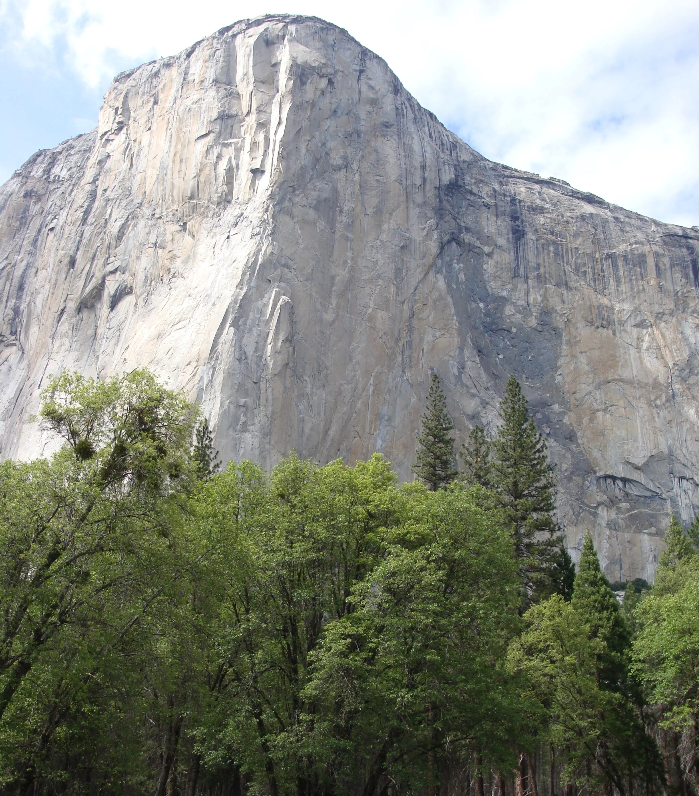 2008-06-02_15-35-46.jpg