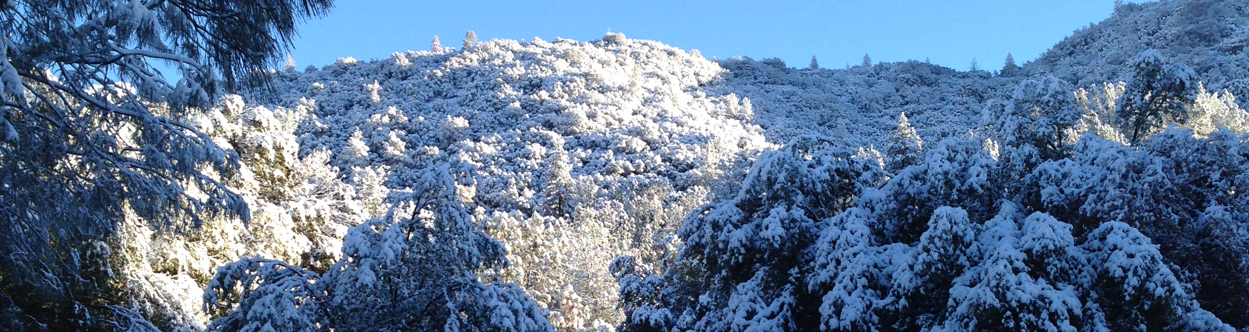 Snow2.png