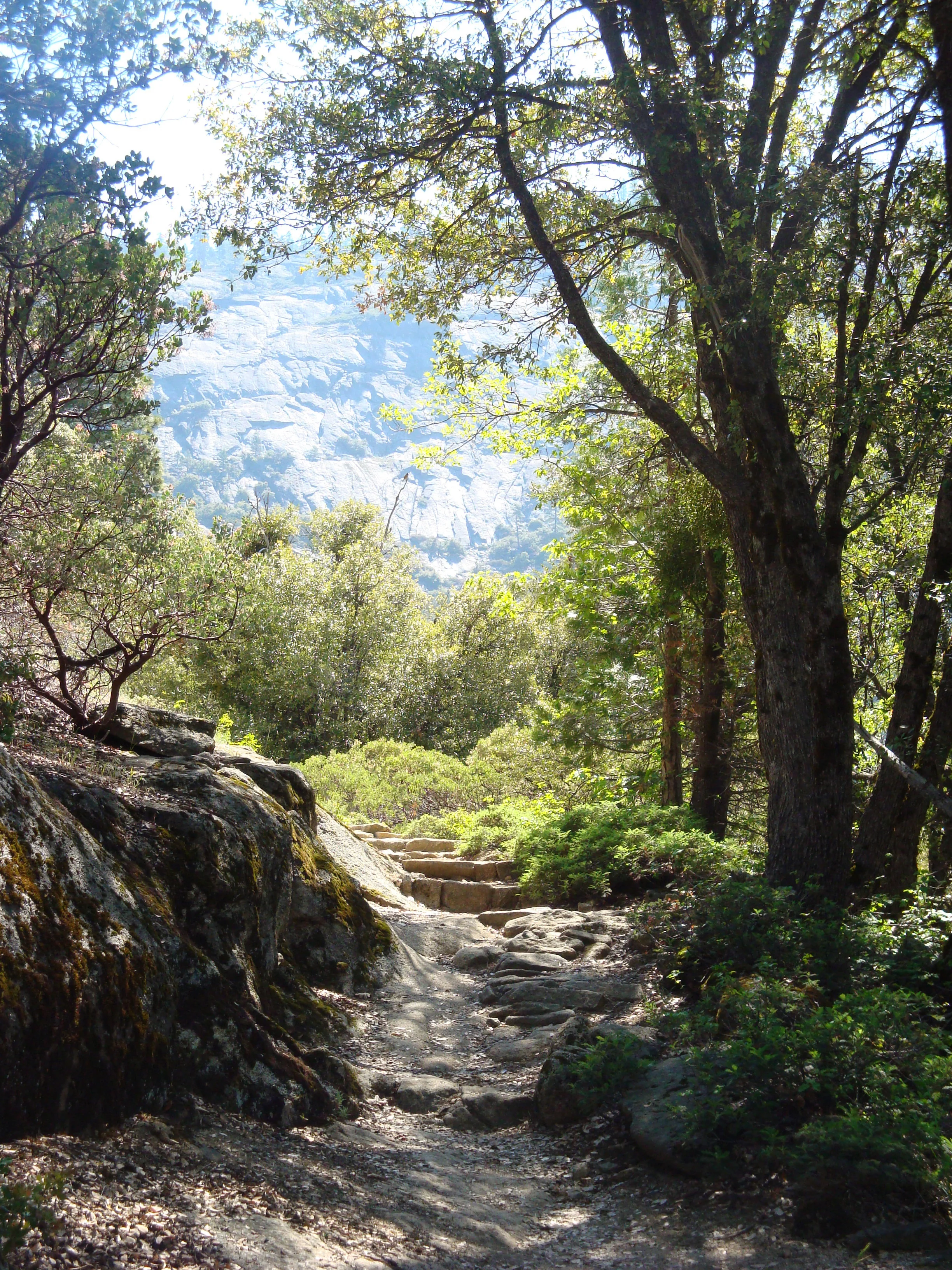 Trail Guide Banner.jpg