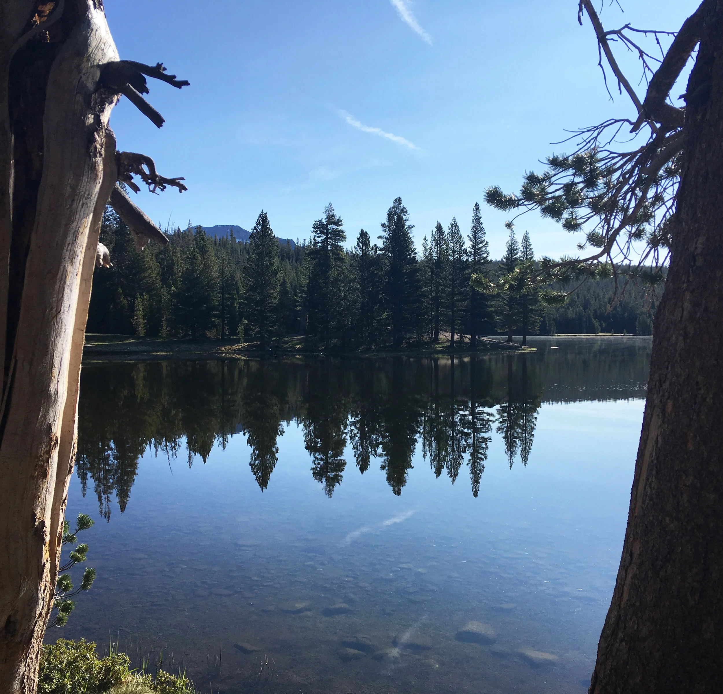Dog Lake 4.jpg