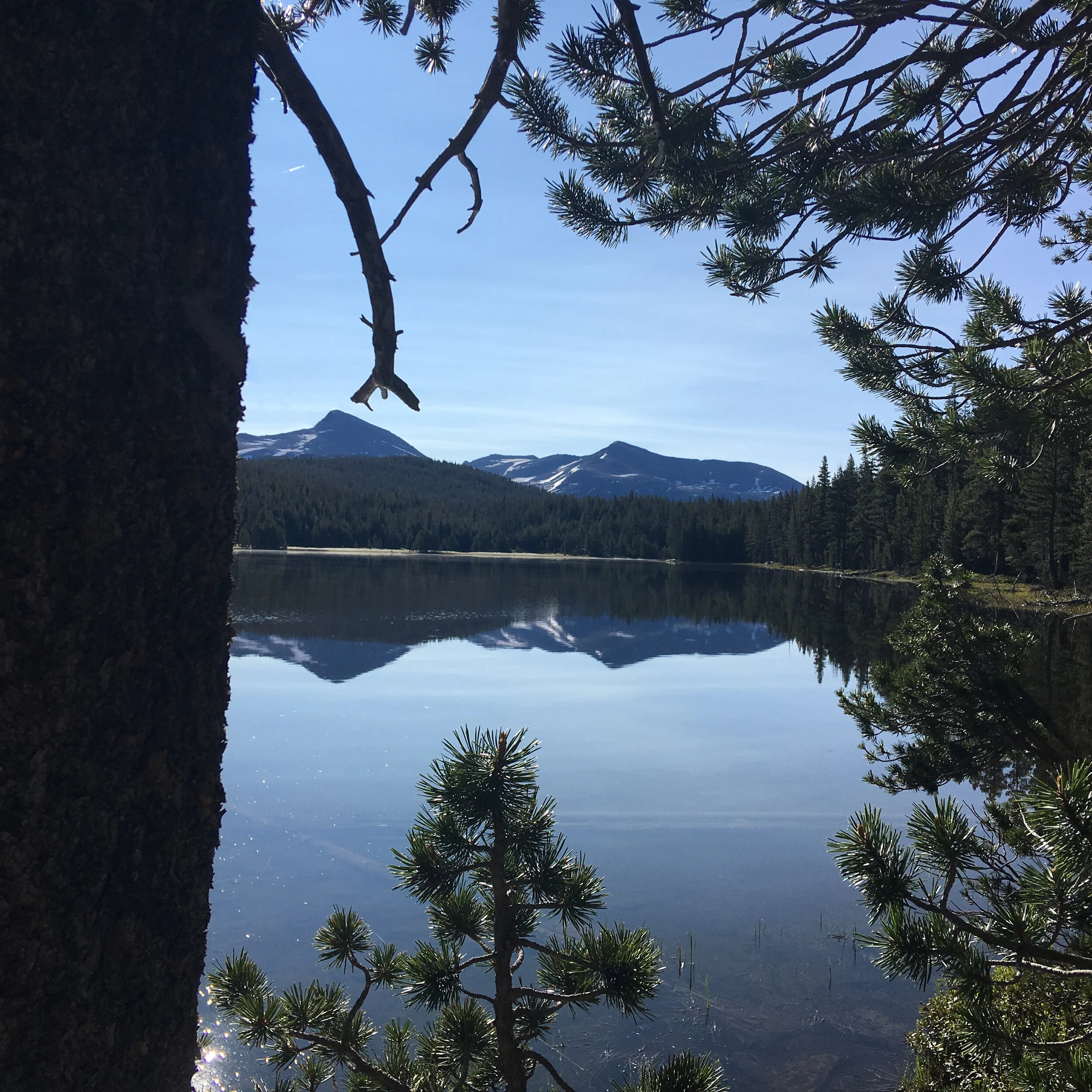 Dog Lake with Mts Gibbs and Dana 2.jpg