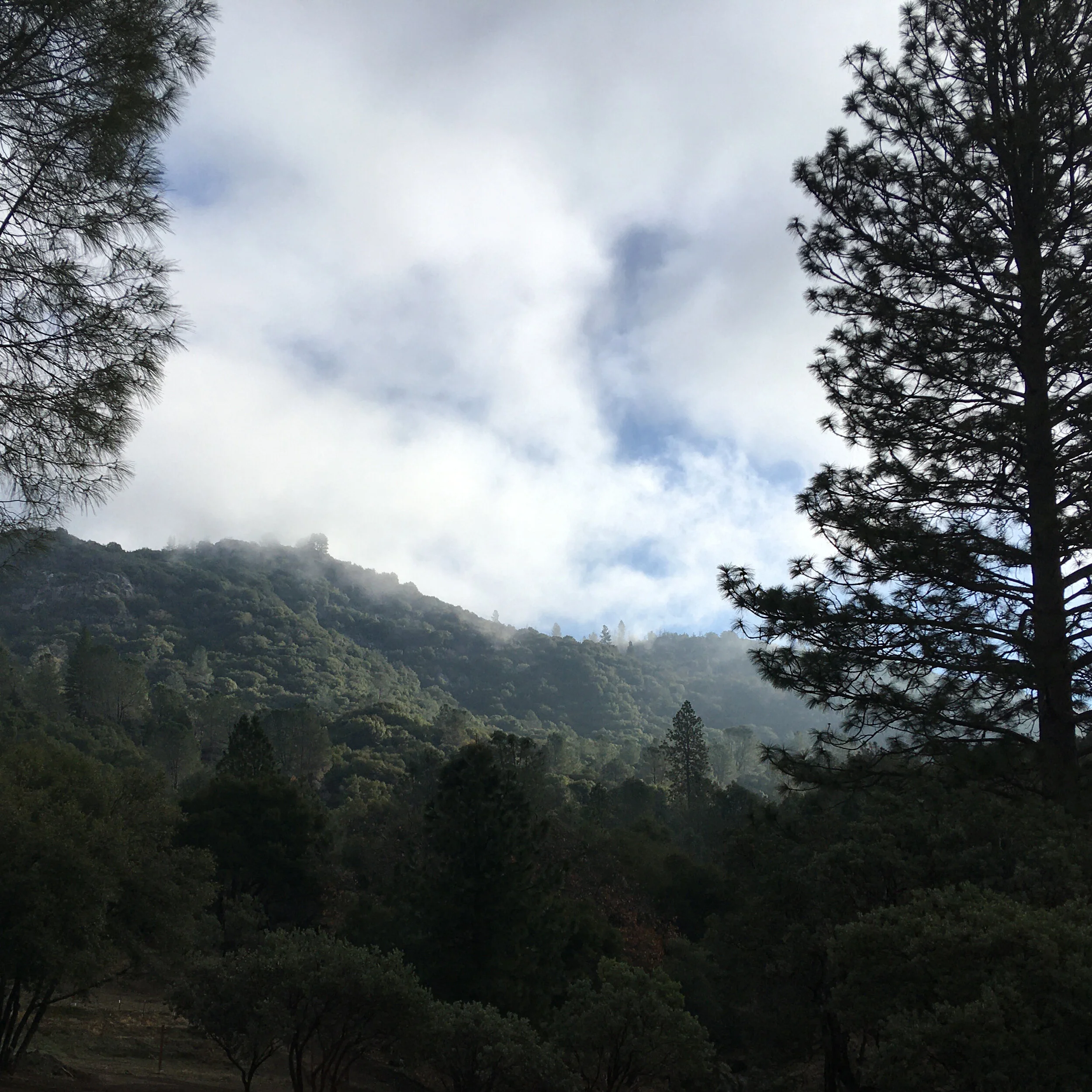 Hill View from Driveway square.jpg