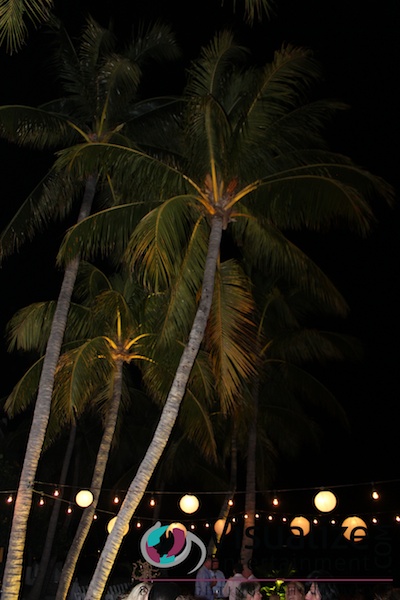 IMG_6712.jpg