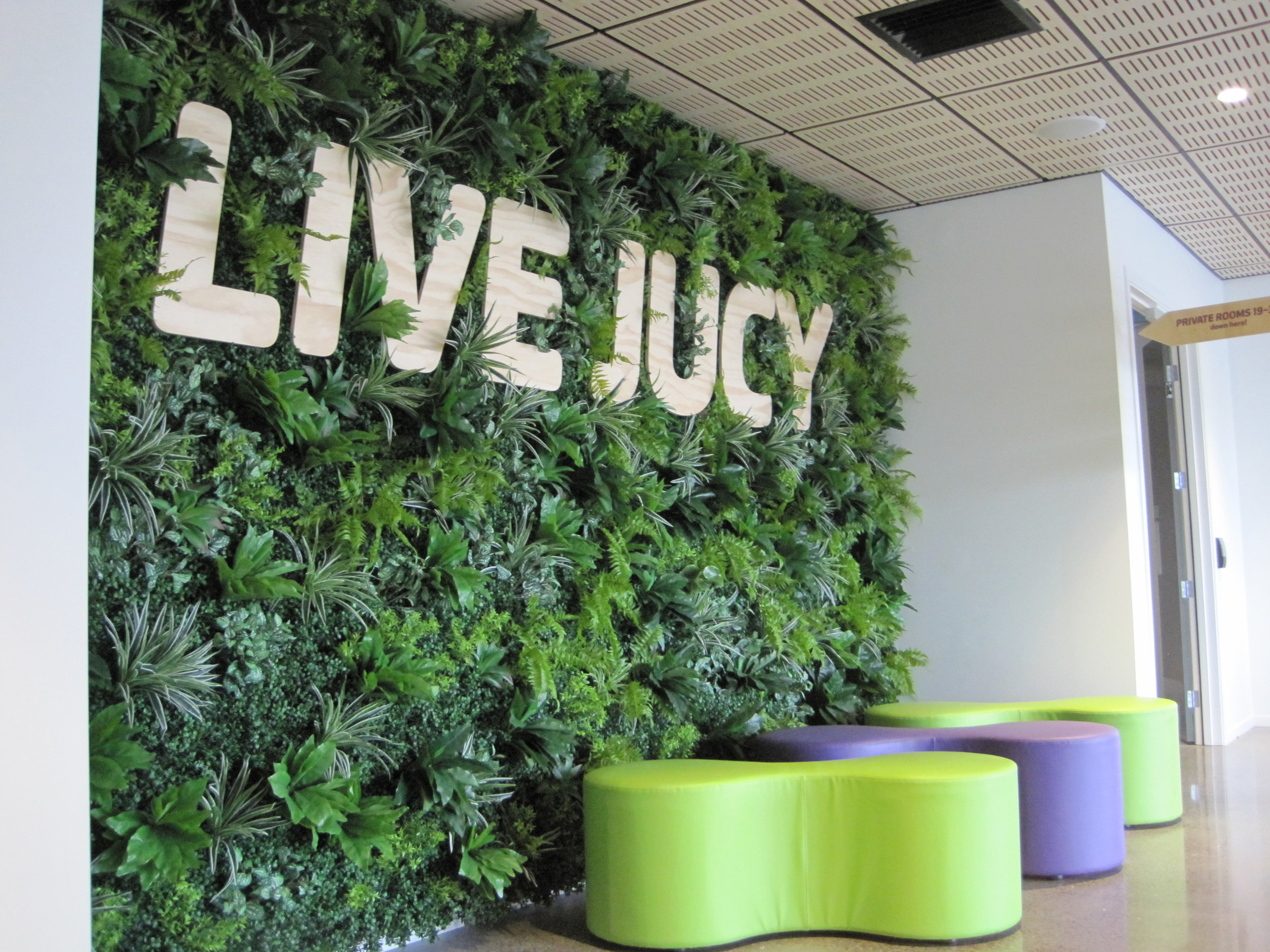 Jucy Snooze Lobby Green Wall