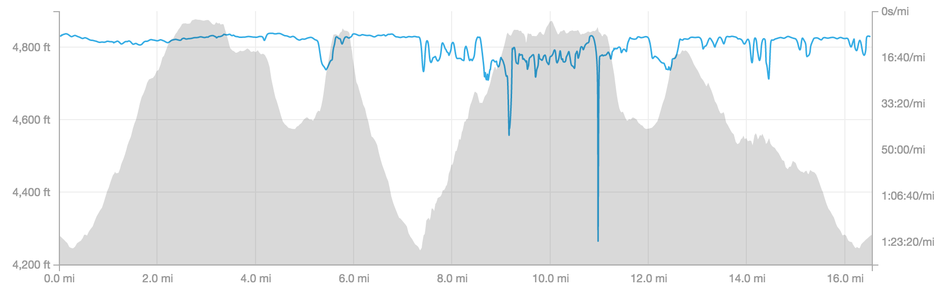 Course elevation and my pace overlay.