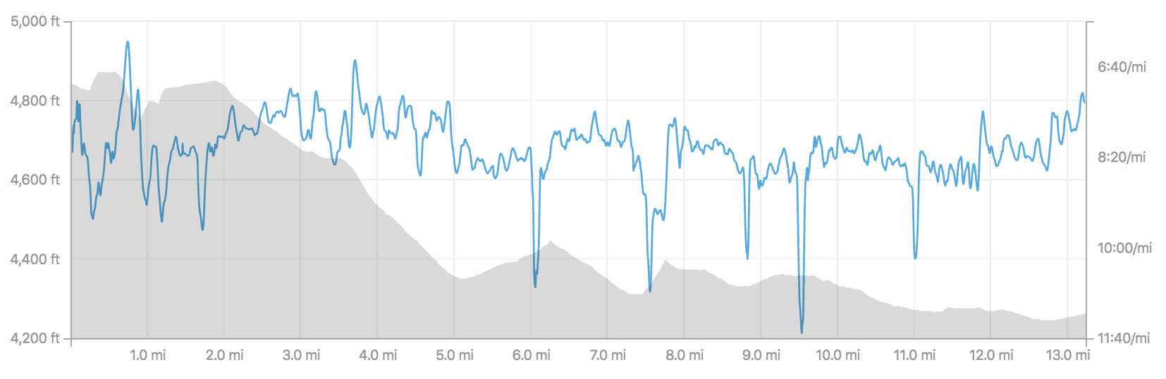 Course elevation and my pace overlay. The dips are the short walks through the water stations.