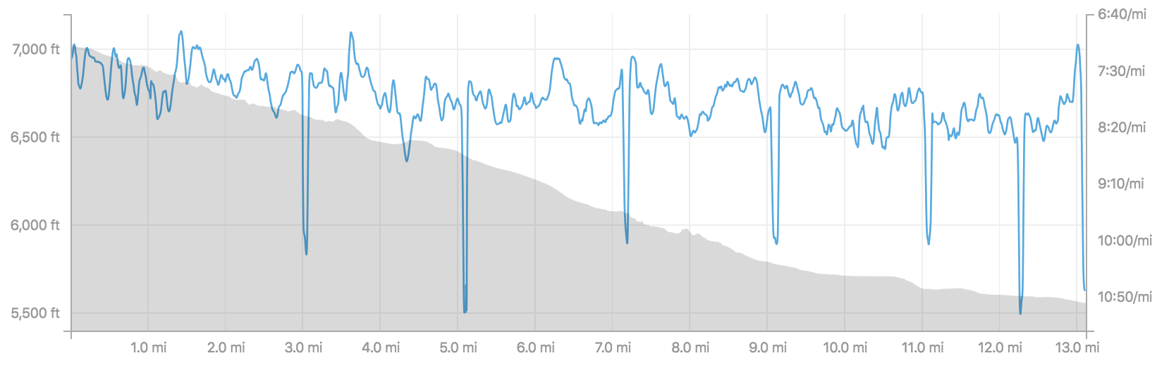 Course elevation and my pace overlay.