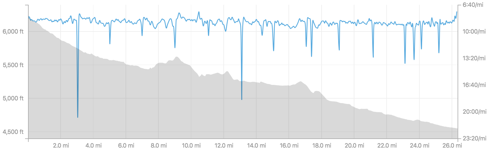 Course elevation and my pace overlay.