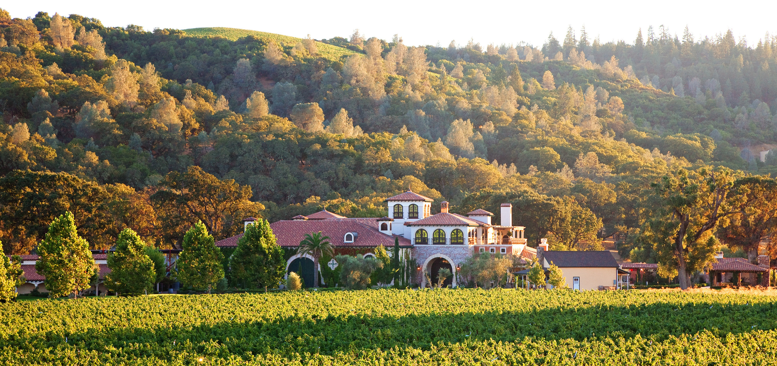 Brassfield Estate Winery