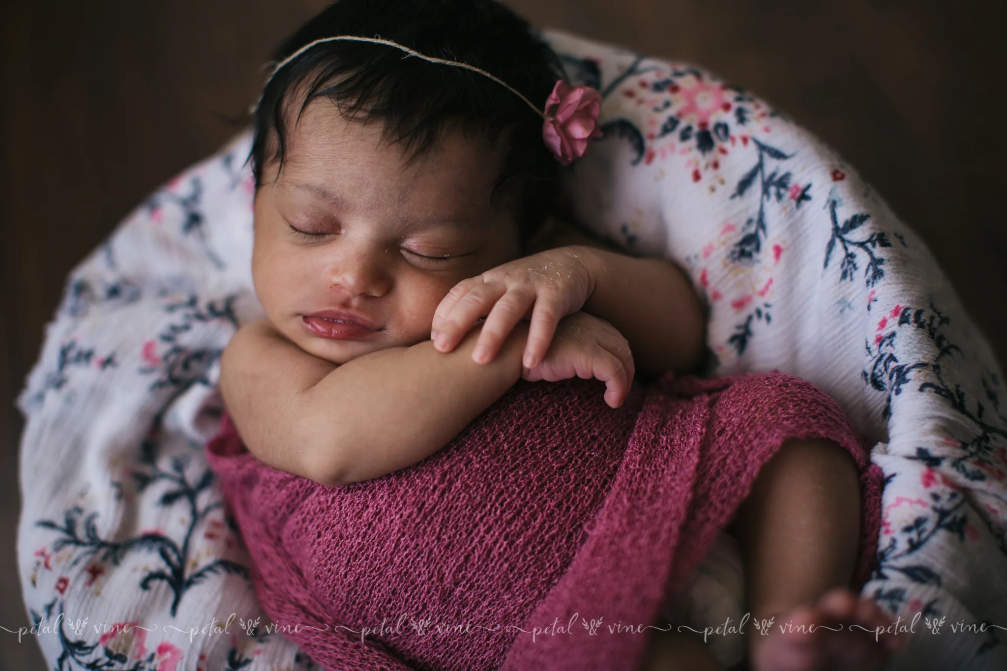 lakeland newborn photographer